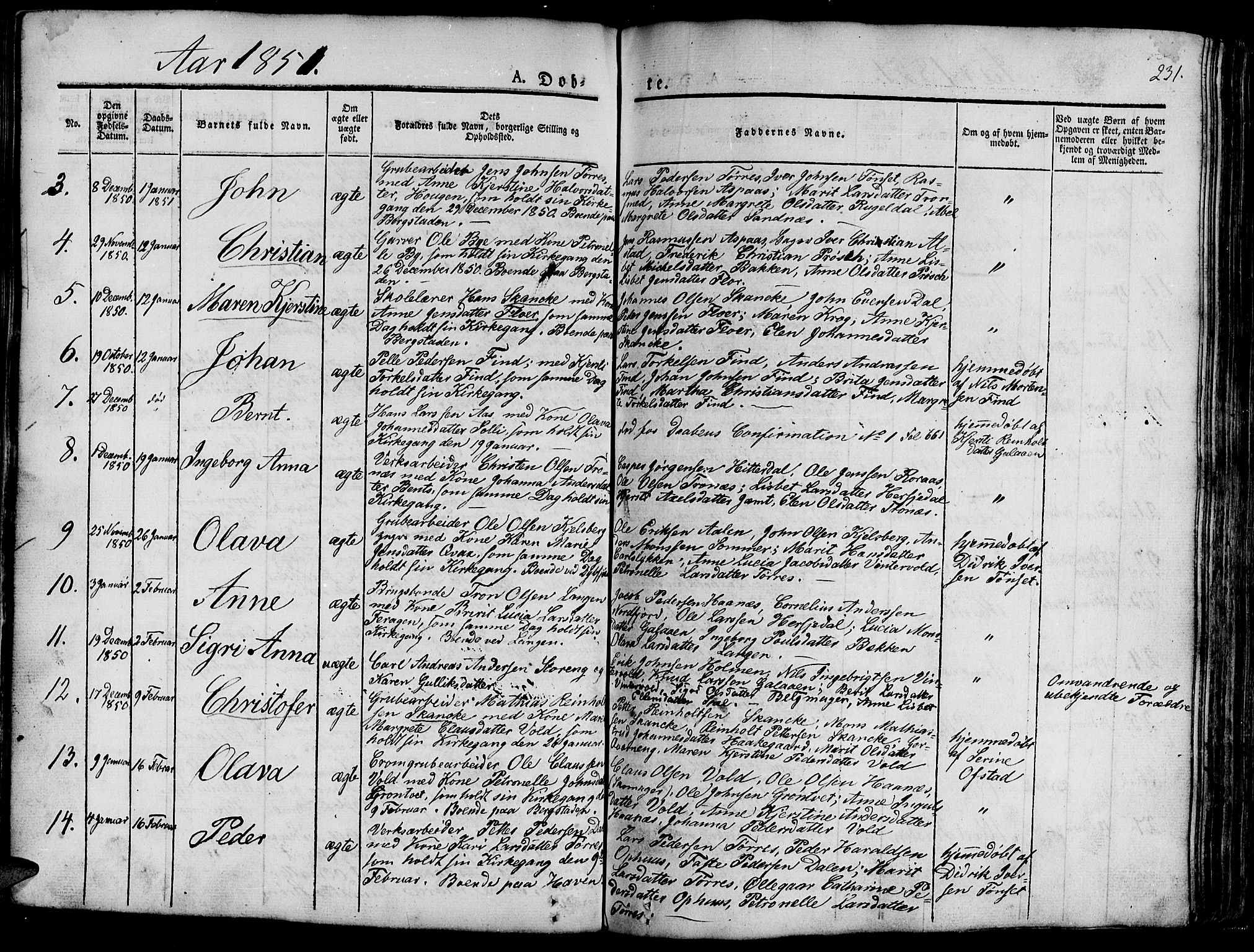 Ministerialprotokoller, klokkerbøker og fødselsregistre - Sør-Trøndelag, SAT/A-1456/681/L0938: Parish register (copy) no. 681C02, 1829-1879, p. 231