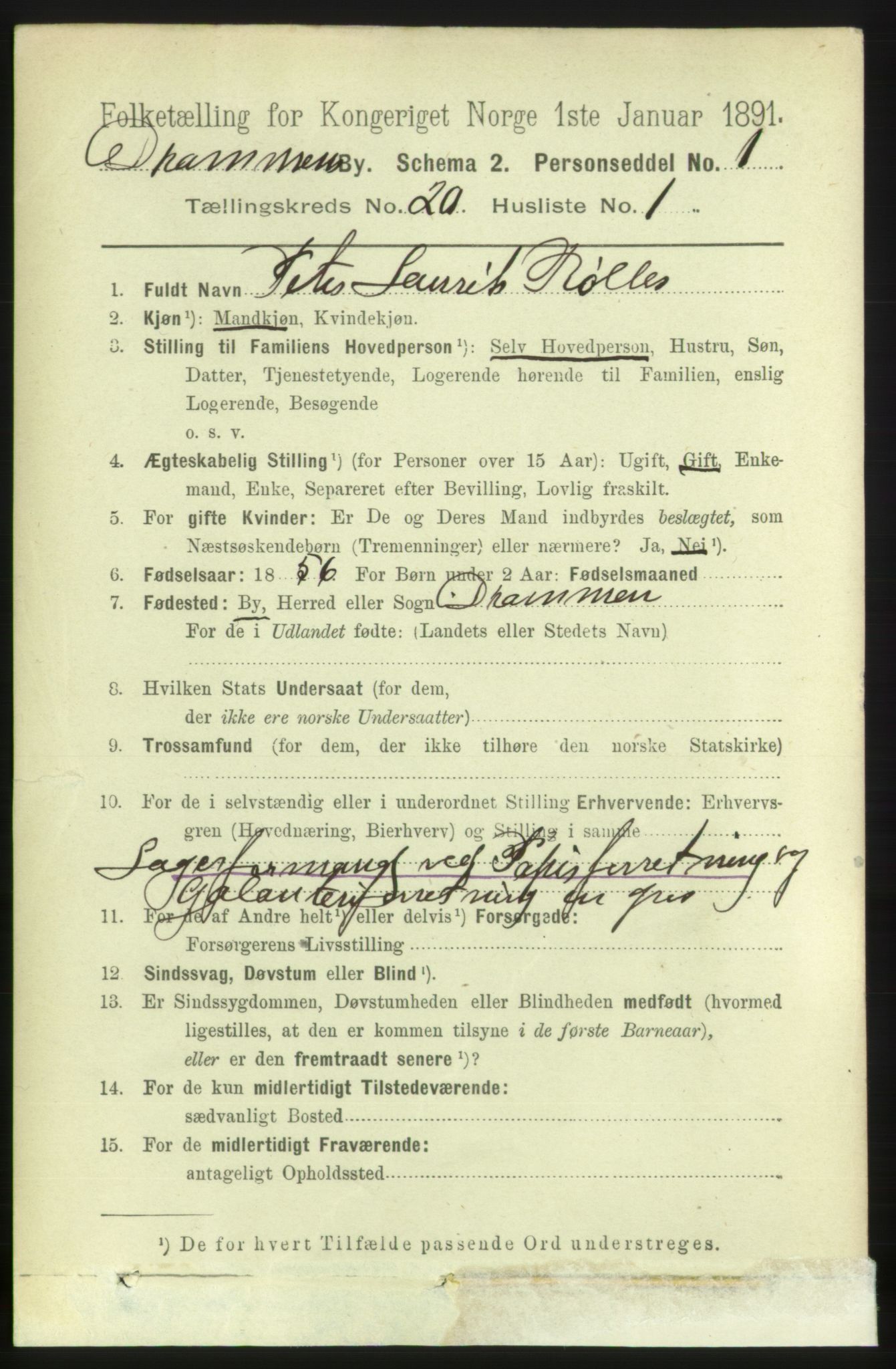 RA, 1891 census for 0602 Drammen, 1891, p. 12505