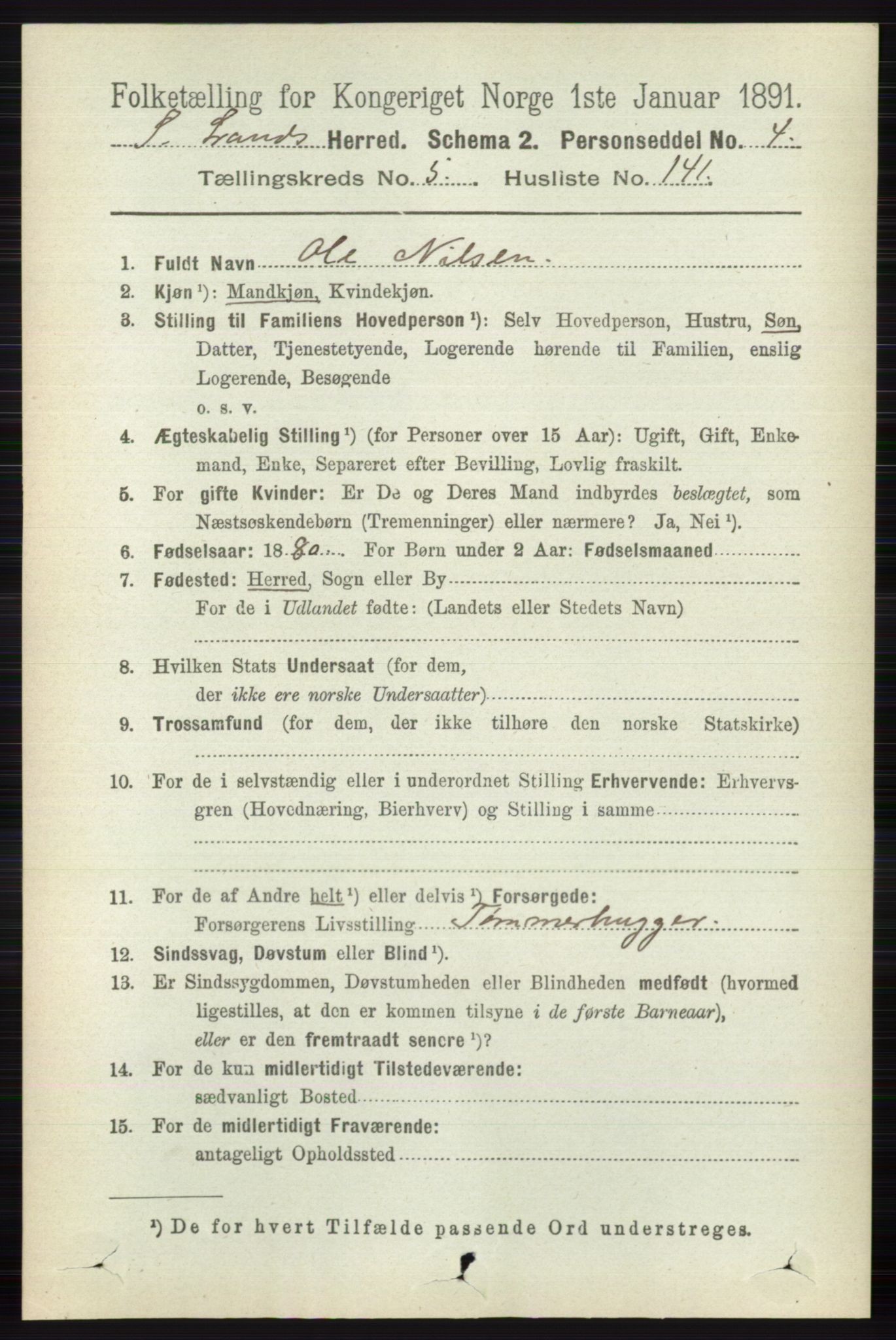 RA, 1891 census for 0536 Søndre Land, 1891, p. 5763