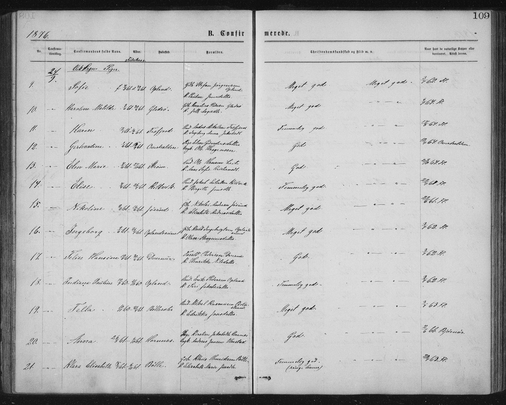 Ministerialprotokoller, klokkerbøker og fødselsregistre - Nord-Trøndelag, AV/SAT-A-1458/771/L0596: Parish register (official) no. 771A03, 1870-1884, p. 109