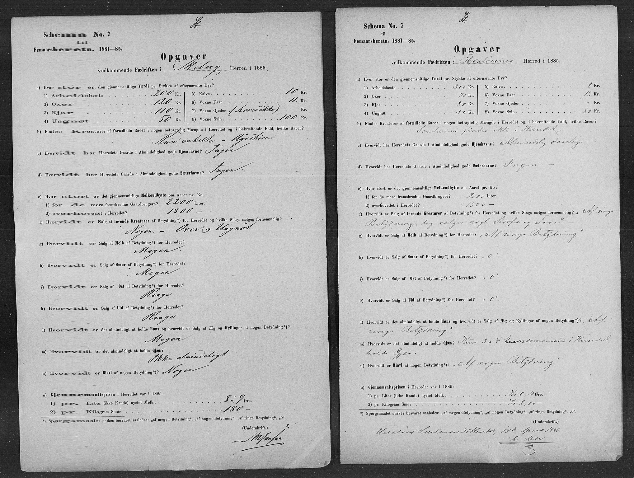 Statistisk sentralbyrå, Næringsøkonomiske emner, Generelt - Amtmennenes femårsberetninger, AV/RA-S-2233/F/Fa/L0060: --, 1881-1885, p. 7