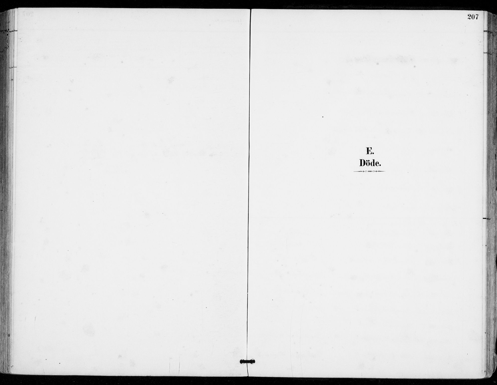 Sylling kirkebøker, SAKO/A-247/F/Fa/L0001: Parish register (official) no. 1, 1883-1910, p. 207