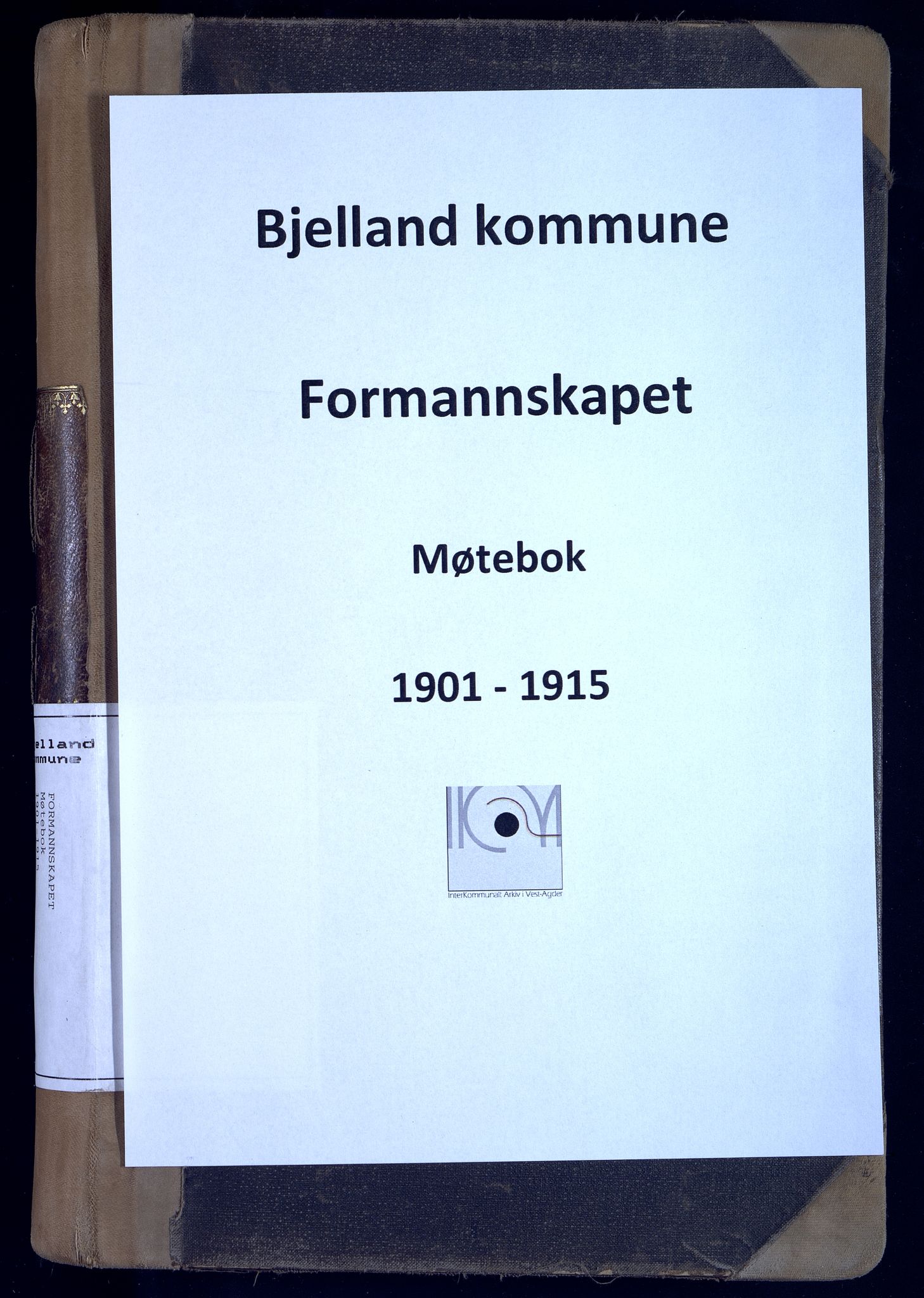 Bjelland kommune - Formannskapet, ARKSOR/1021BJ120/Aa/L0001: Møtebok (1901 Bjelland og Grindheim) (d), 1901-1915