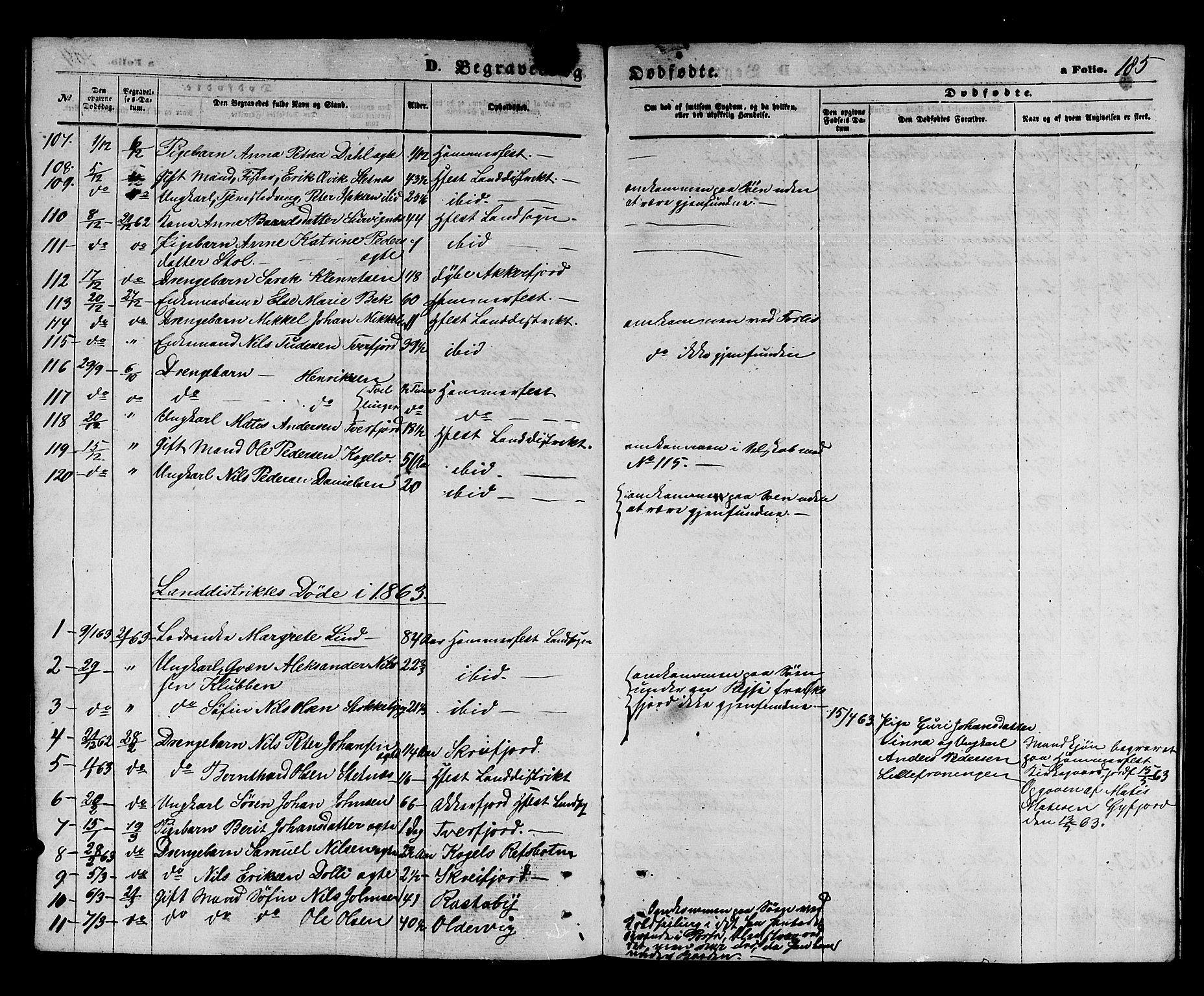 Hammerfest sokneprestkontor, AV/SATØ-S-1347/H/Hb/L0003.klokk: Parish register (copy) no. 3 /1, 1862-1868, p. 185