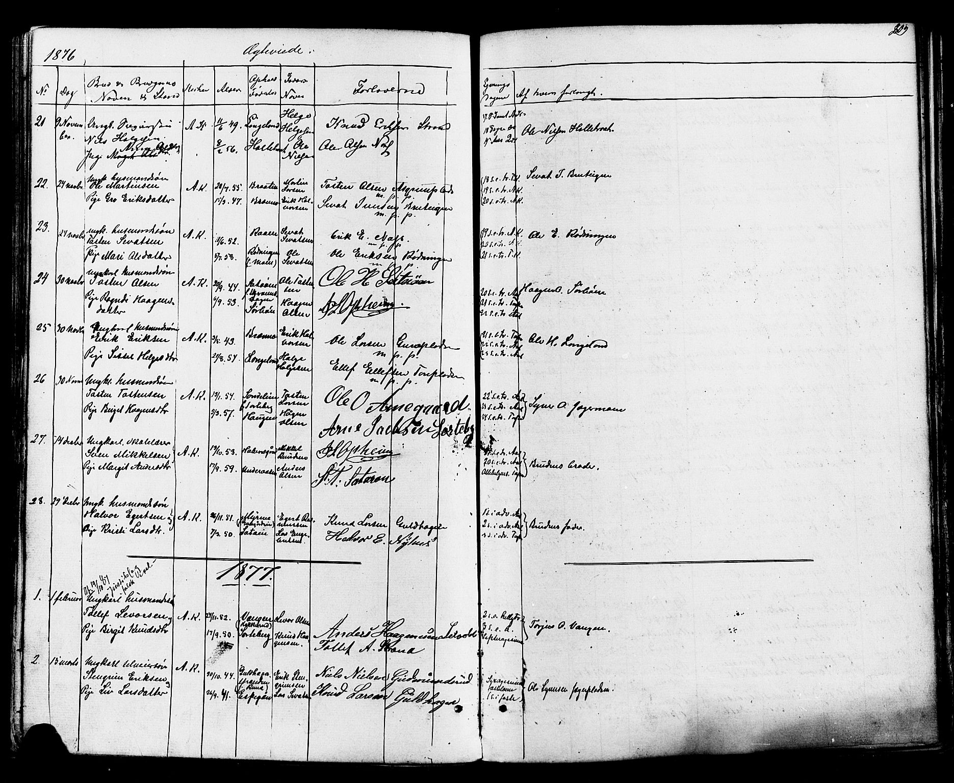 Ål kirkebøker, AV/SAKO-A-249/F/Fa/L0007: Parish register (official) no. I 7, 1865-1881, p. 209