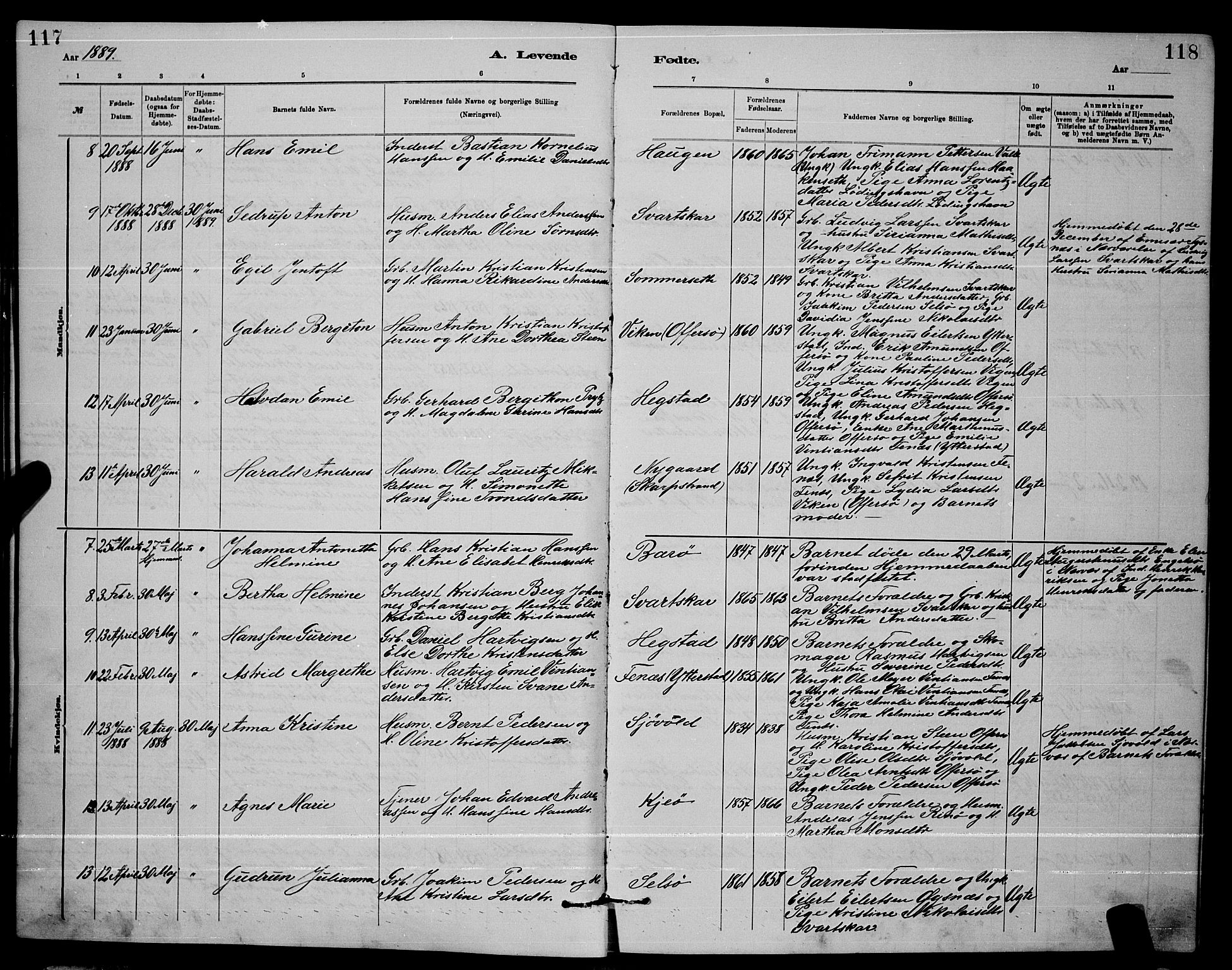 Ministerialprotokoller, klokkerbøker og fødselsregistre - Nordland, AV/SAT-A-1459/872/L1047: Parish register (copy) no. 872C03, 1880-1897, p. 117-118