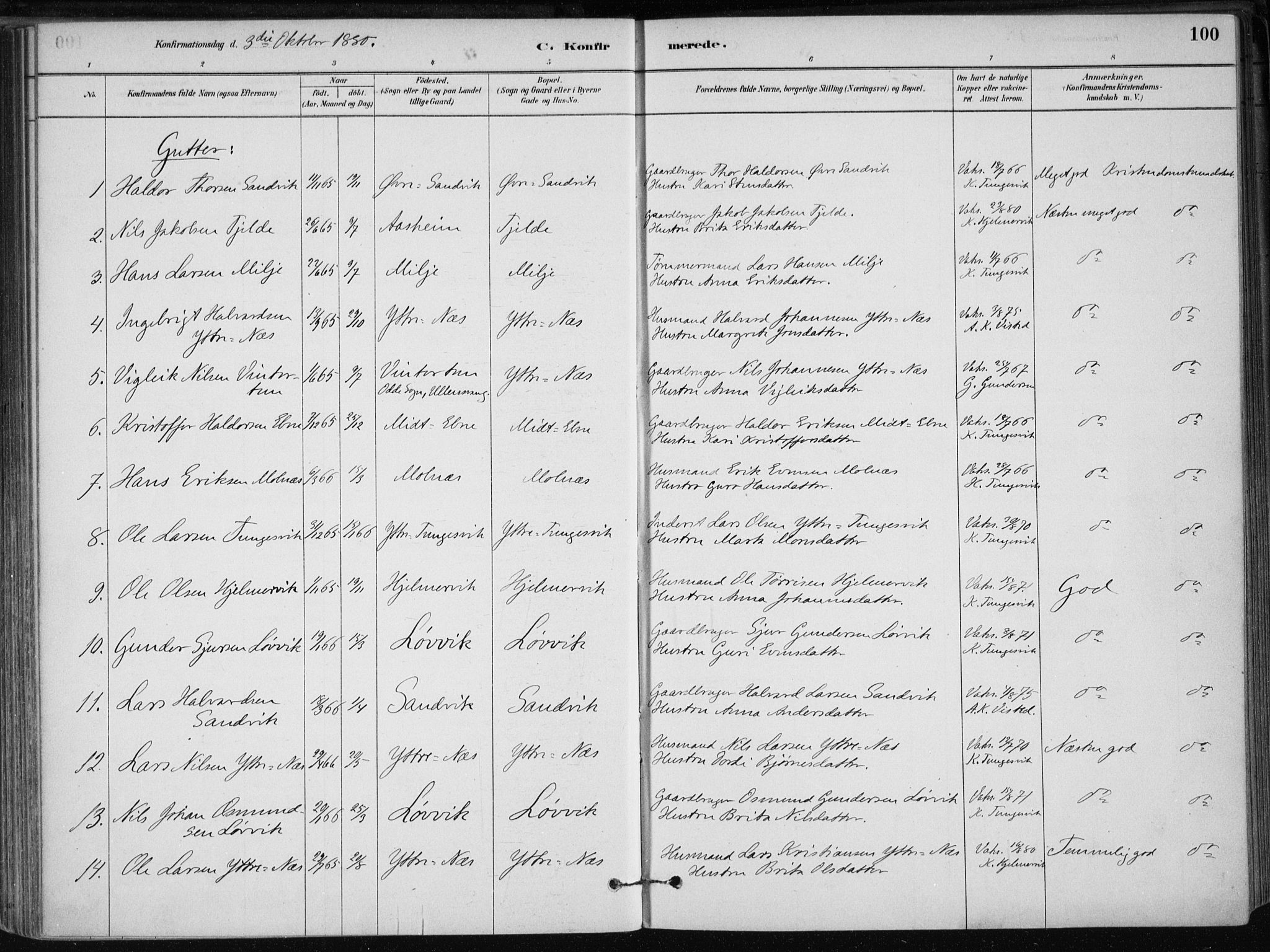 Skånevik sokneprestembete, SAB/A-77801/H/Haa: Parish register (official) no. B 1, 1879-1914, p. 100