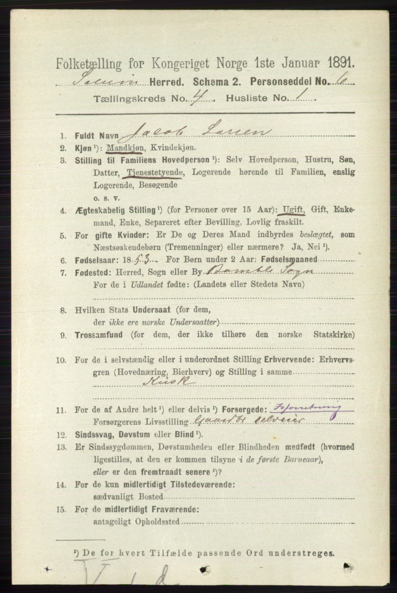 RA, 1891 census for 0818 Solum, 1891, p. 625