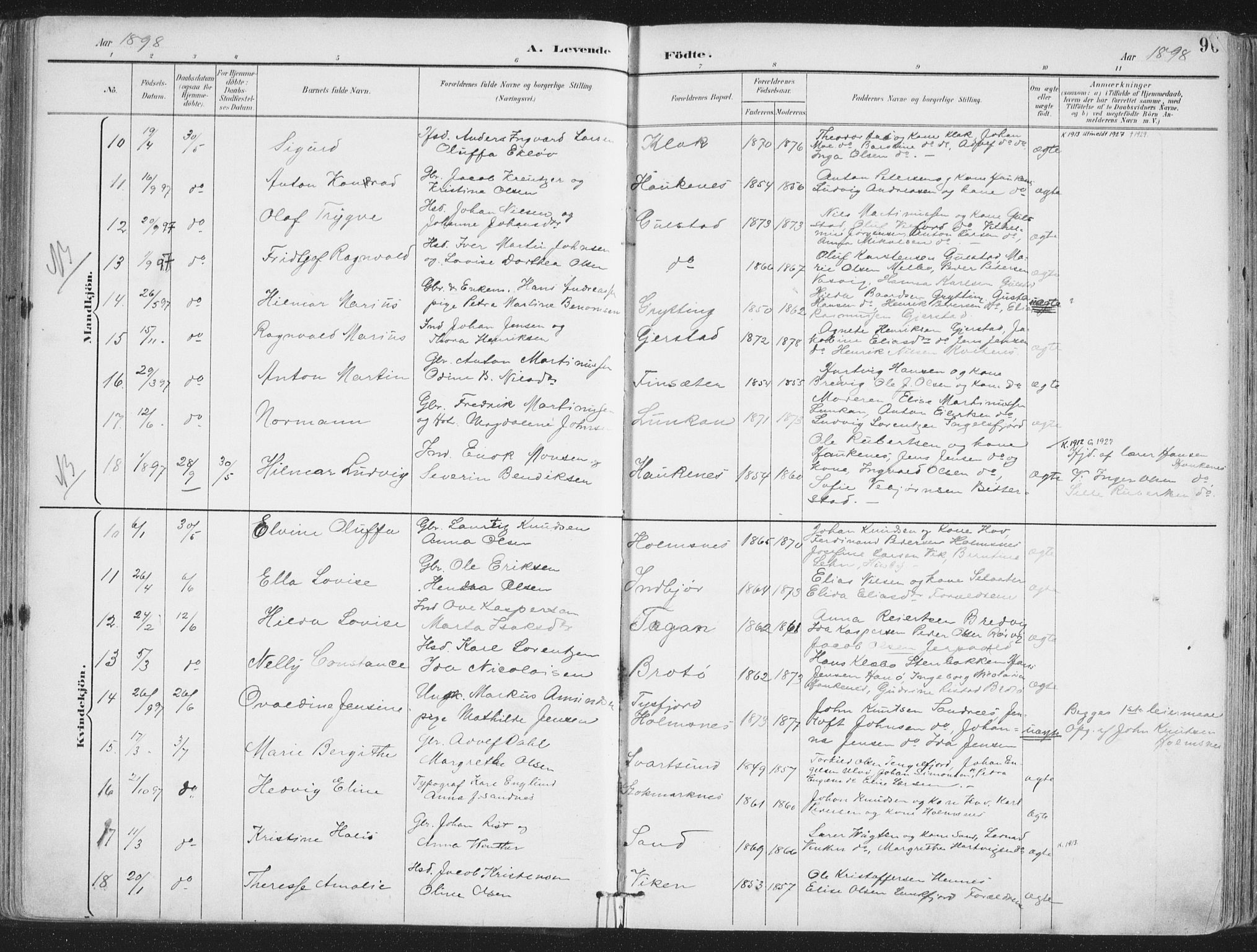 Ministerialprotokoller, klokkerbøker og fødselsregistre - Nordland, AV/SAT-A-1459/888/L1246: Parish register (official) no. 888A12, 1891-1903, p. 96