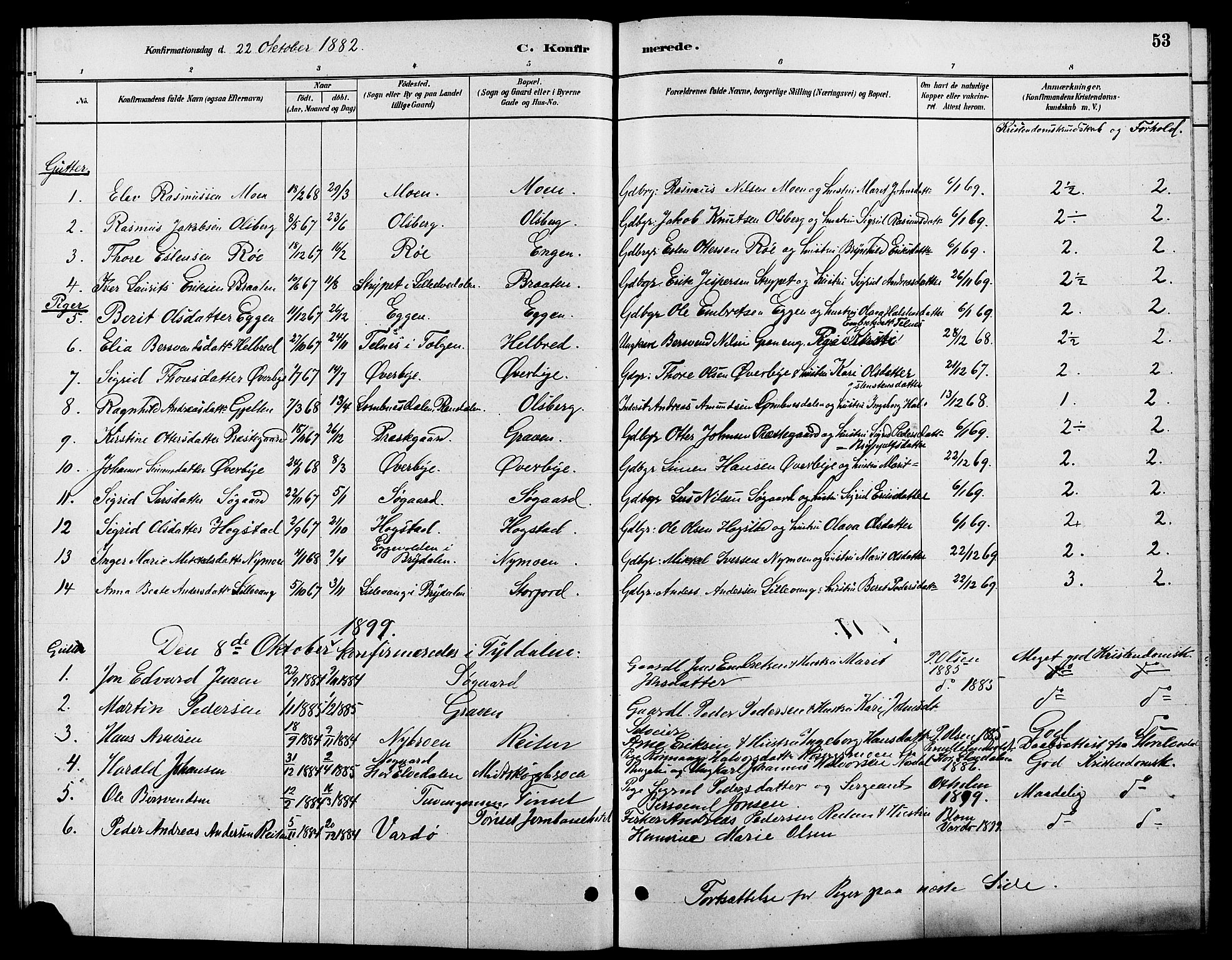 Tynset prestekontor, SAH/PREST-058/H/Ha/Hab/L0007: Parish register (copy) no. 7, 1880-1901, p. 53