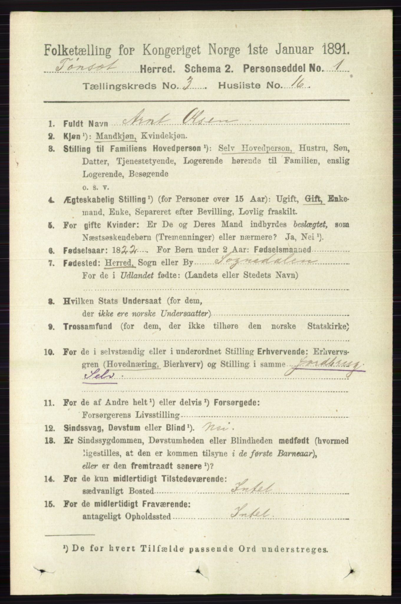 RA, 1891 census for 0437 Tynset, 1891, p. 642