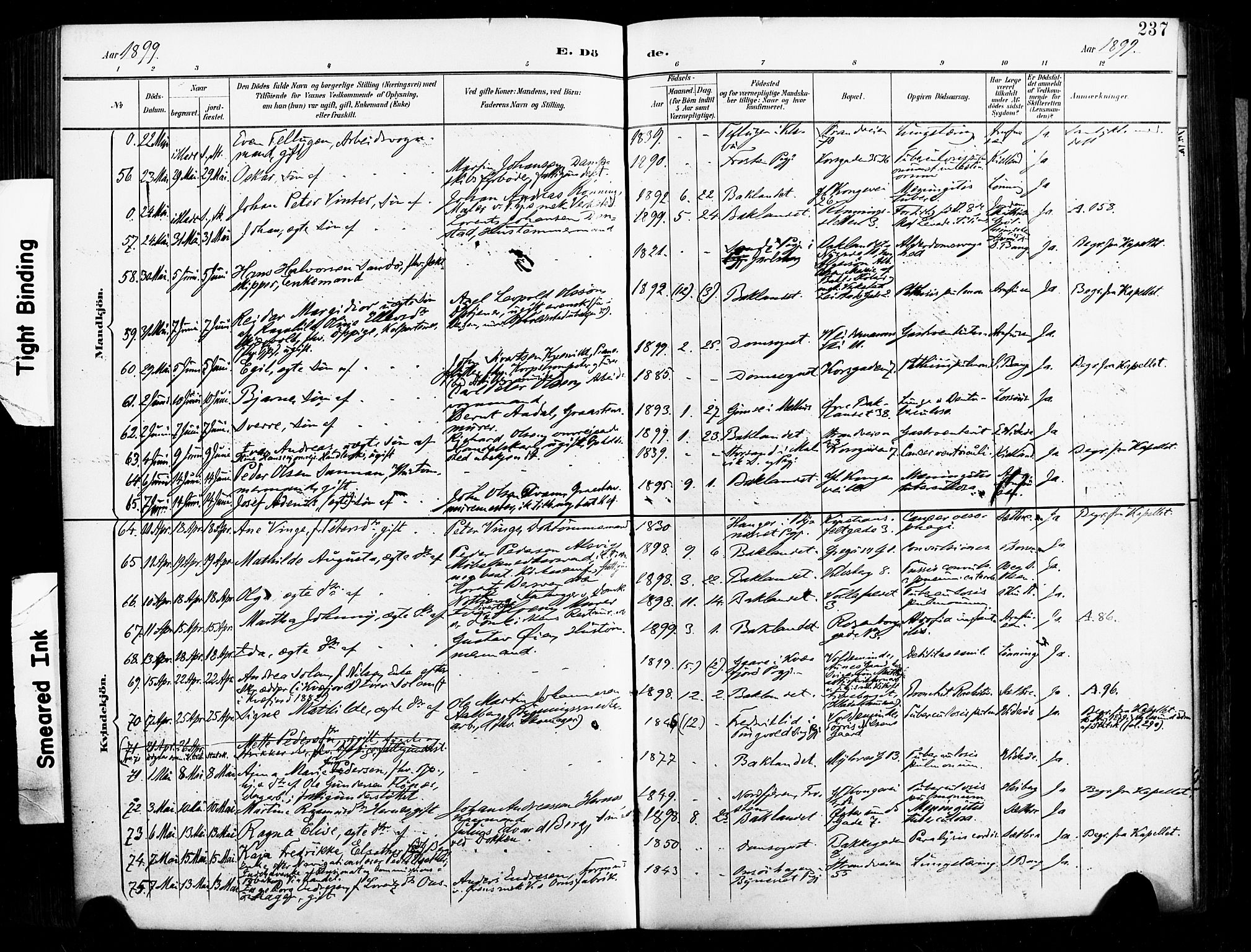 Ministerialprotokoller, klokkerbøker og fødselsregistre - Sør-Trøndelag, SAT/A-1456/604/L0198: Parish register (official) no. 604A19, 1893-1900, p. 237
