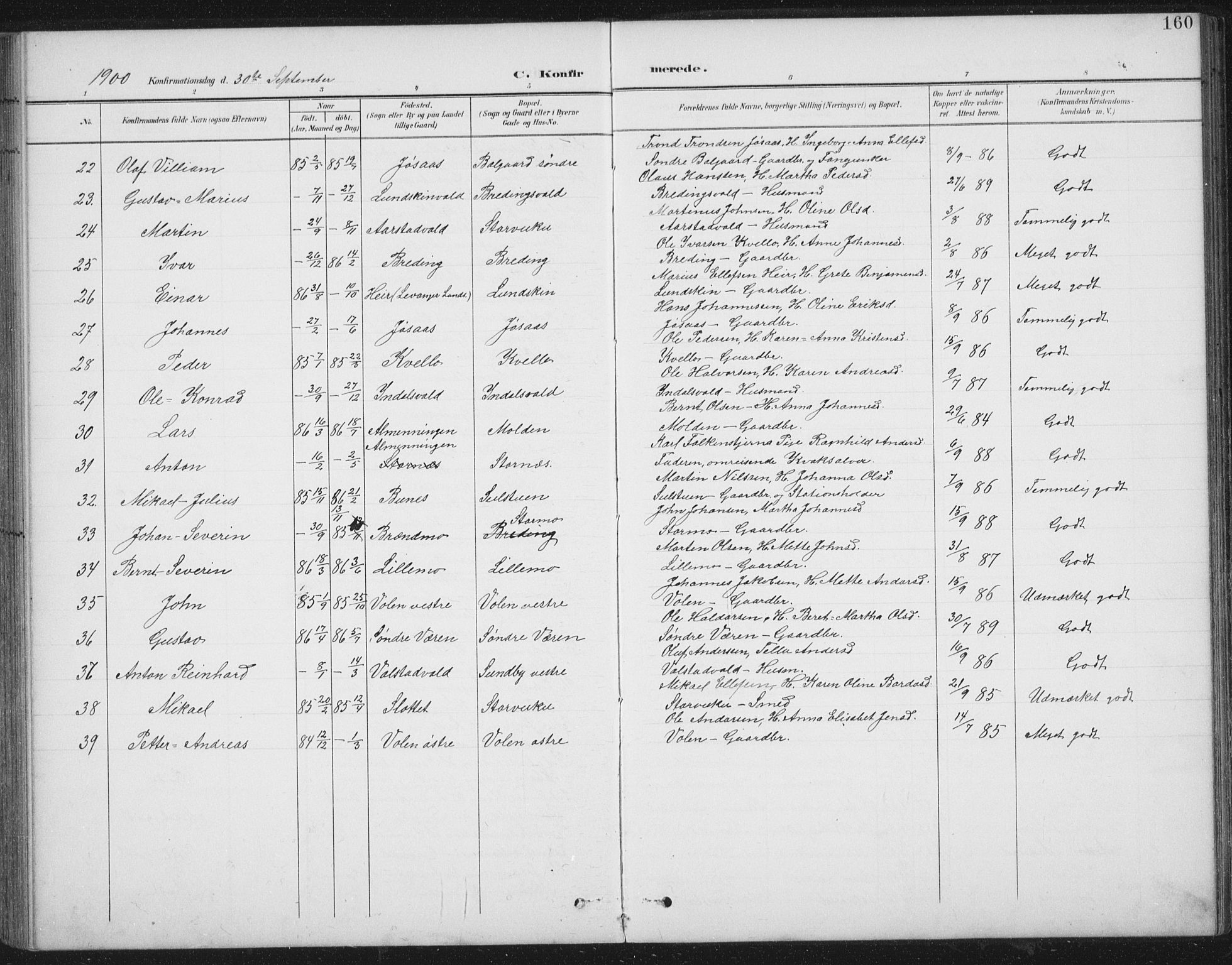 Ministerialprotokoller, klokkerbøker og fødselsregistre - Nord-Trøndelag, SAT/A-1458/724/L0269: Parish register (copy) no. 724C05, 1899-1920, p. 160
