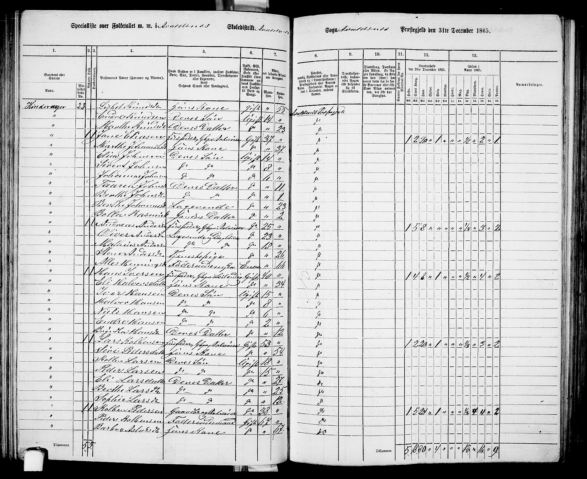 RA, 1865 census for Avaldsnes, 1865, p. 100