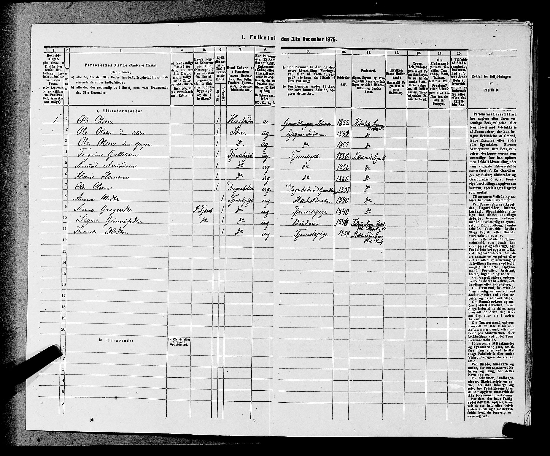 SAKO, 1875 census for 0823P Heddal, 1875, p. 1007