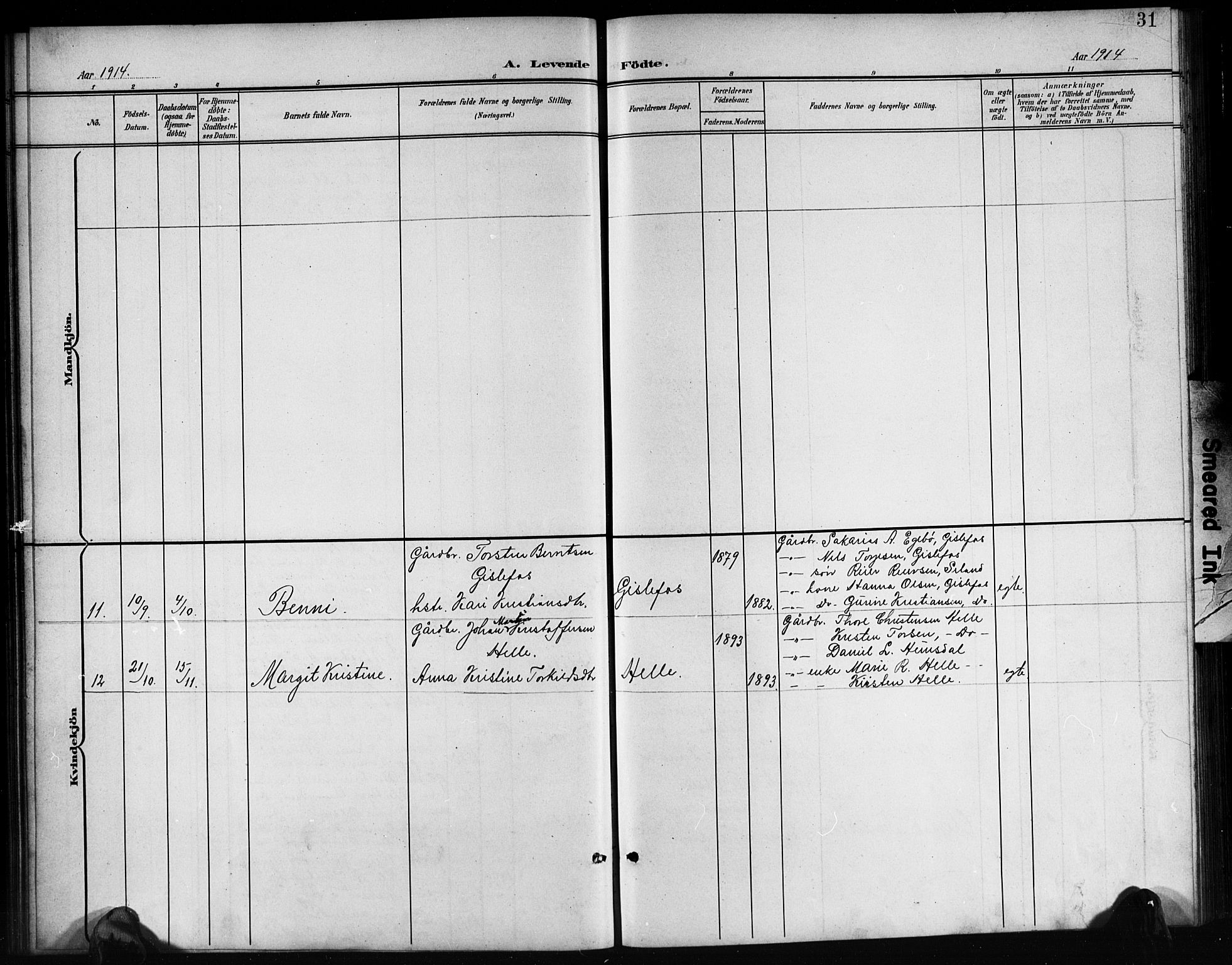 Nord-Audnedal sokneprestkontor, SAK/1111-0032/F/Fb/Fba/L0004: Parish register (copy) no. B 4, 1901-1917, p. 31