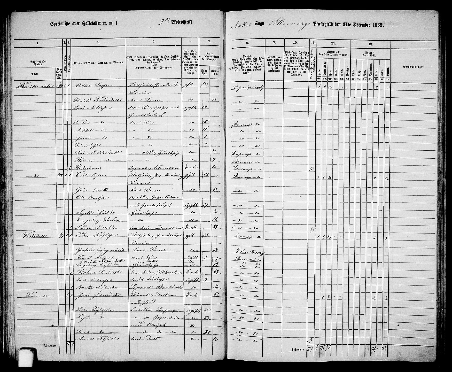 RA, 1865 census for Skånevik, 1865, p. 54