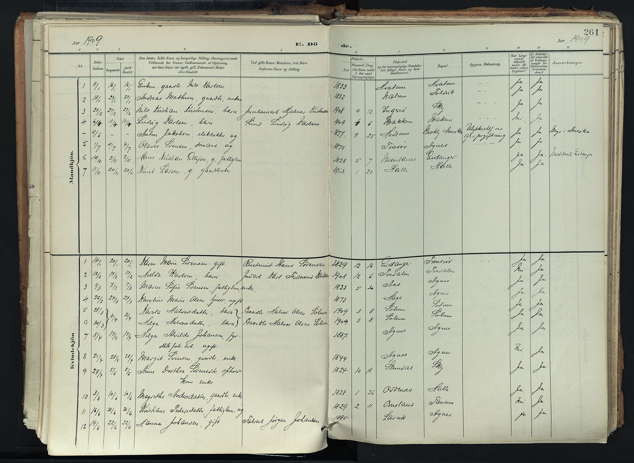 Brunlanes kirkebøker, SAKO/A-342/F/Fc/L0003: Parish register (official) no. III 3, 1900-1922, p. 261
