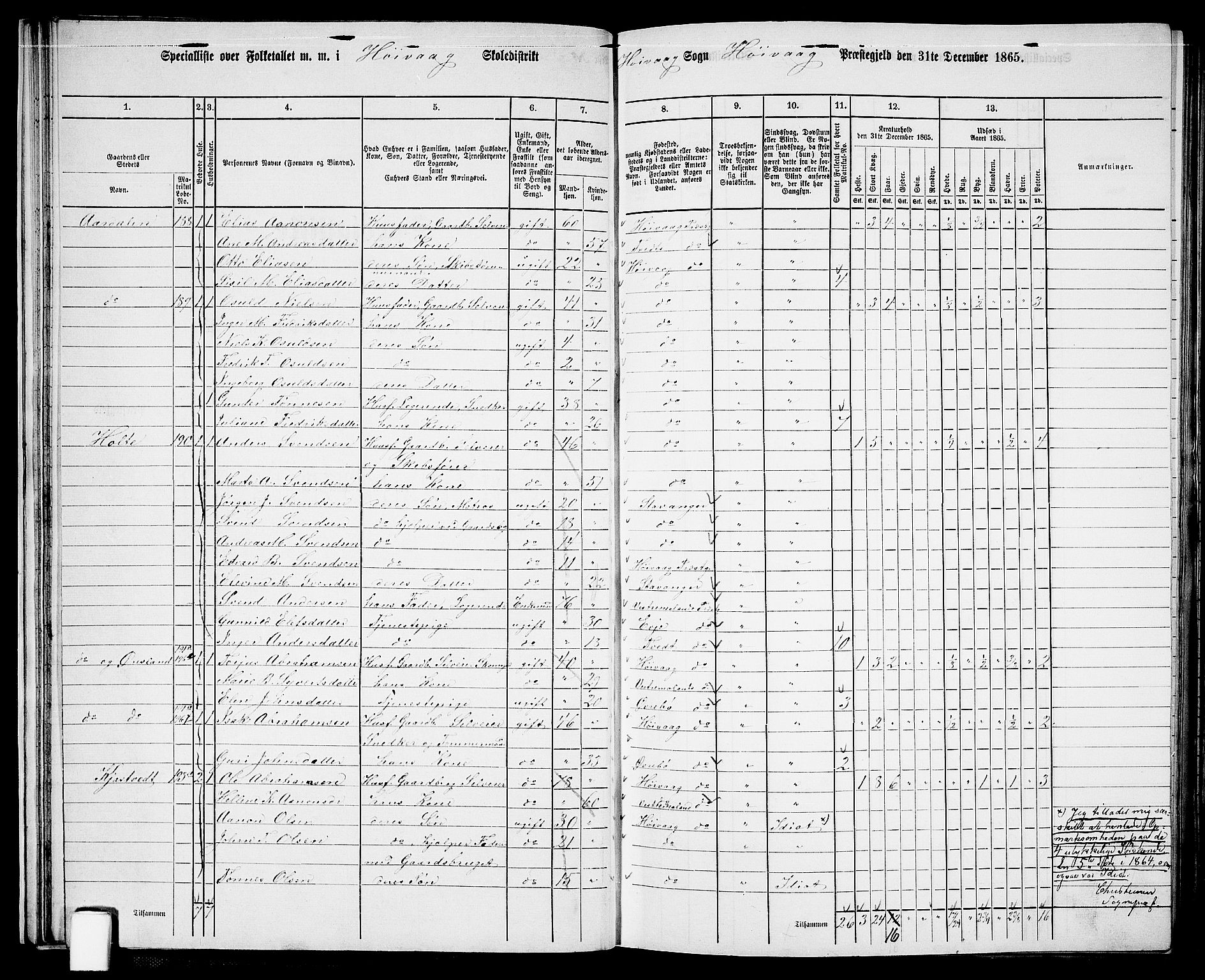 RA, 1865 census for Høvåg, 1865, p. 36