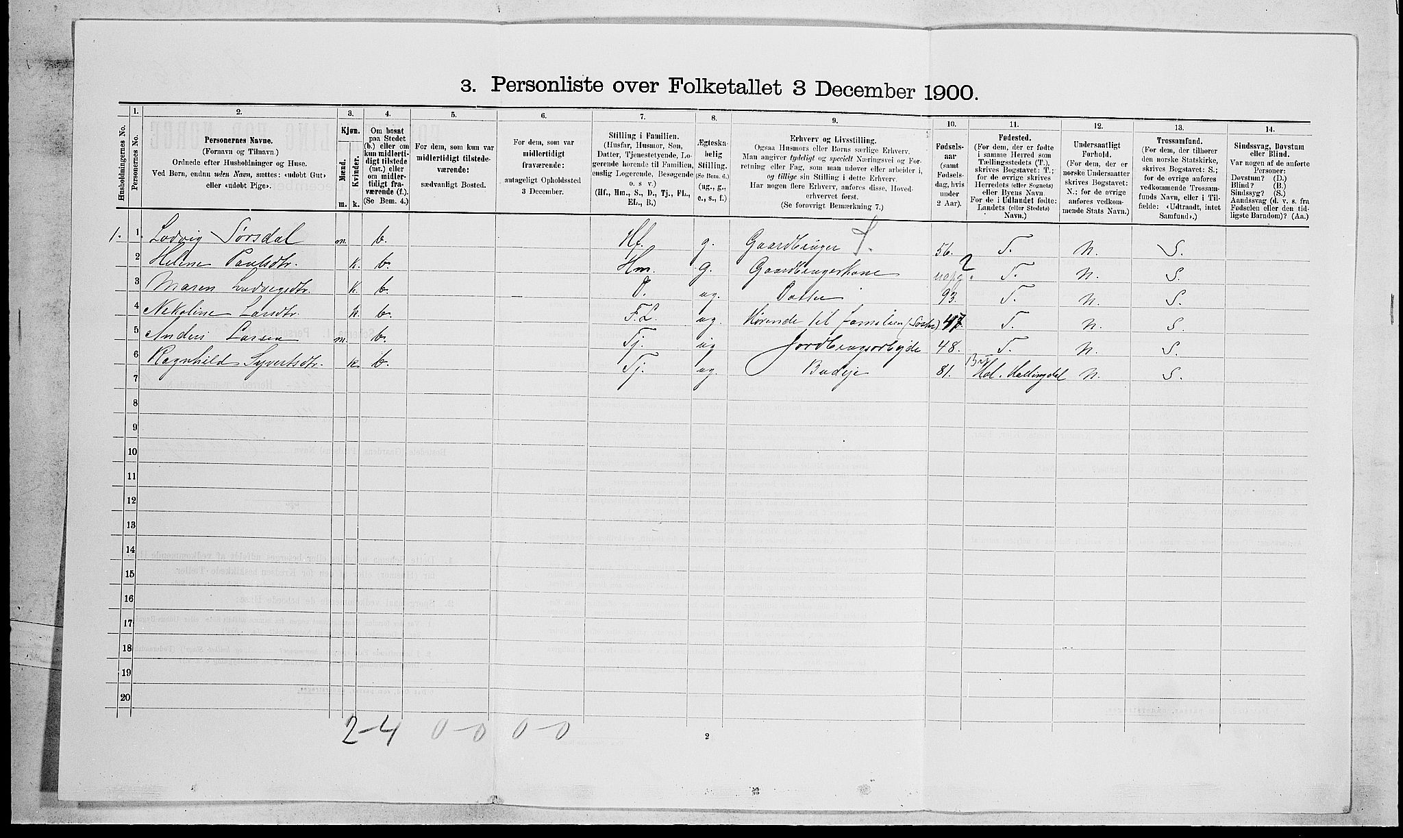 RA, 1900 census for Lier, 1900, p. 2317