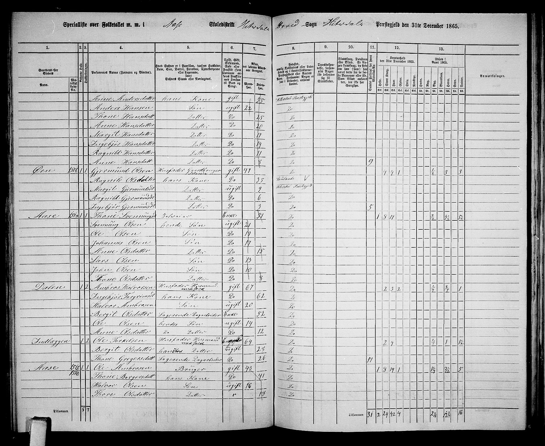 RA, 1865 census for Heddal, 1865, p. 117