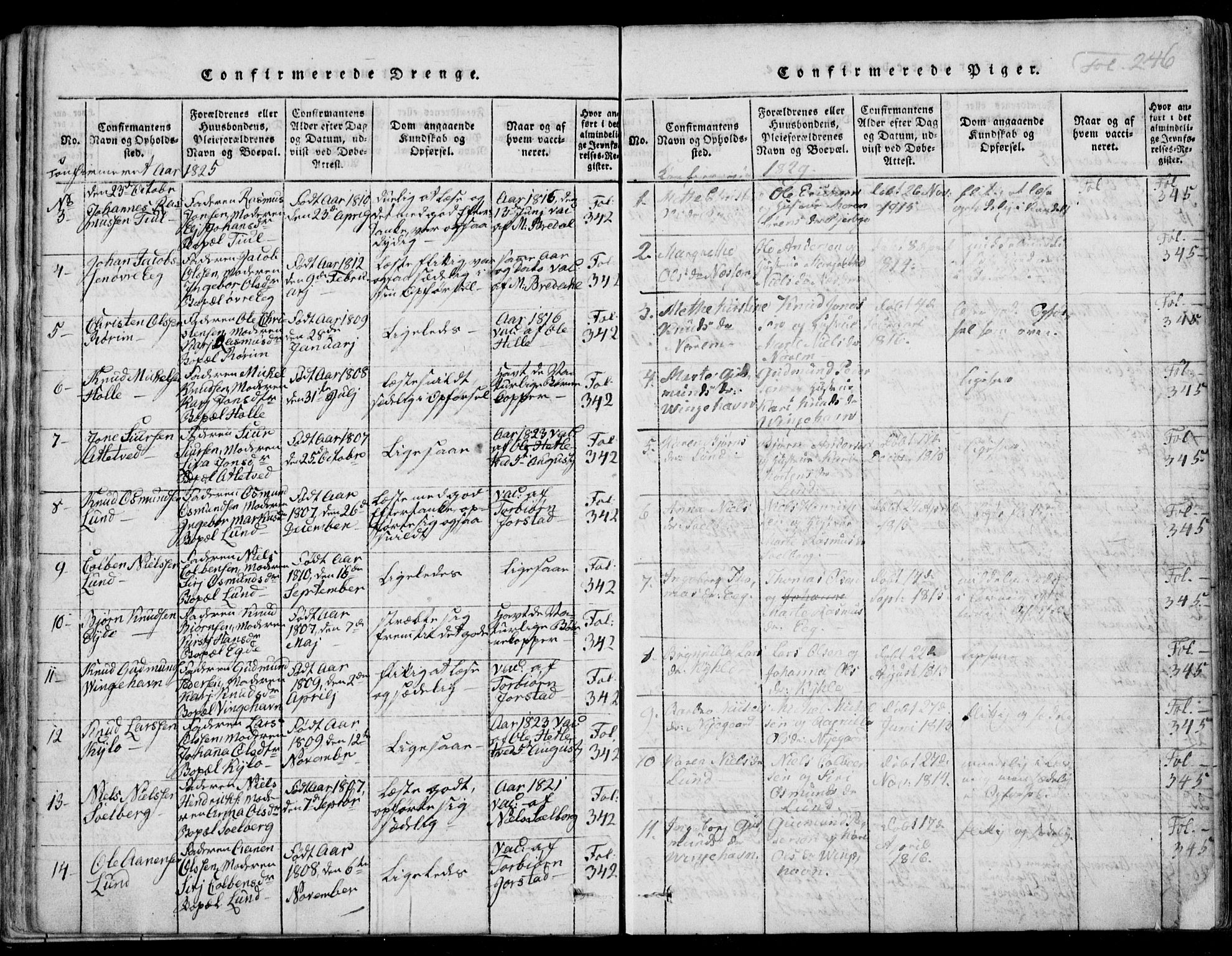 Nedstrand sokneprestkontor, AV/SAST-A-101841/01/IV: Parish register (official) no. A 7, 1816-1870, p. 246