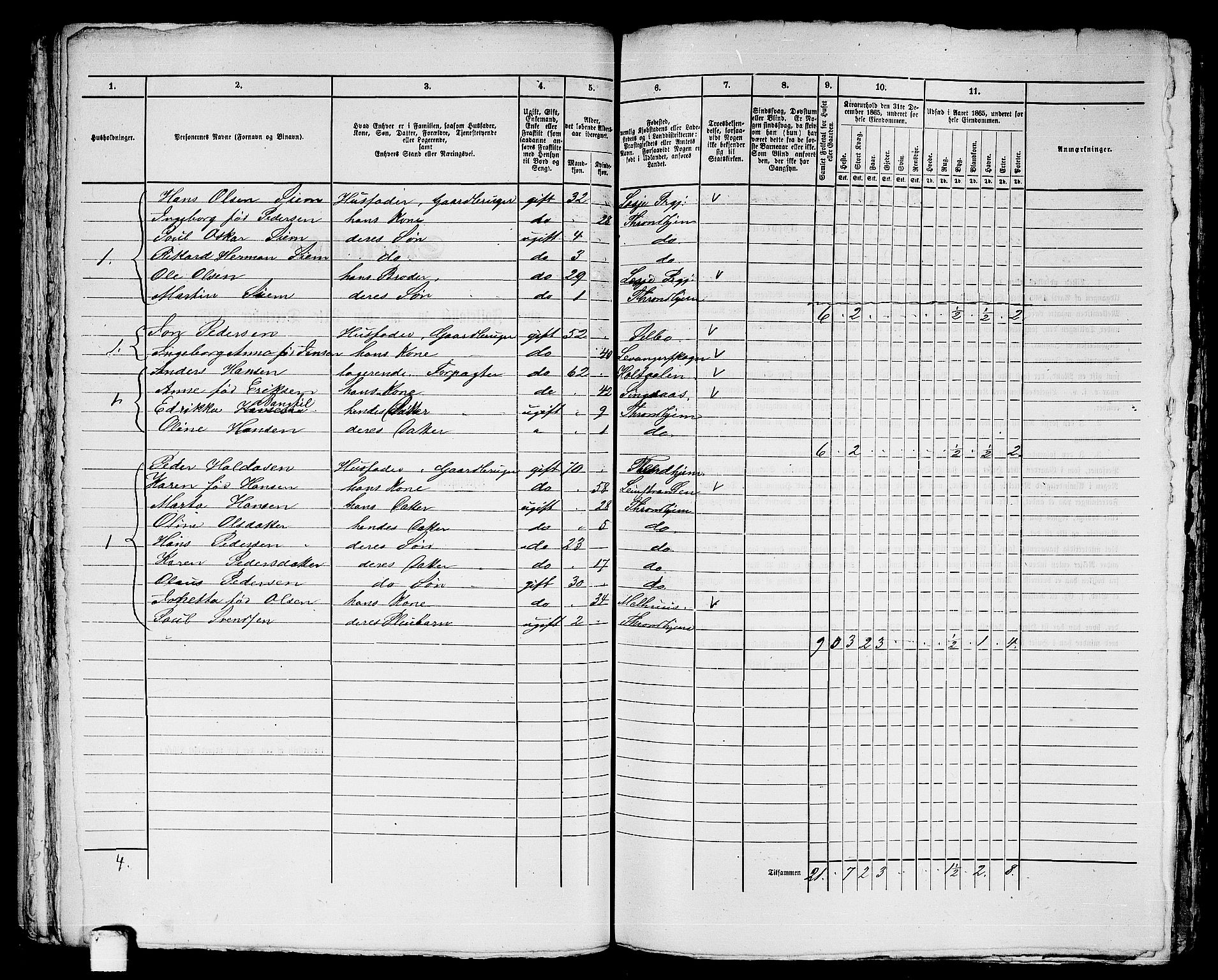 RA, 1865 census for Trondheim, 1865, p. 2284