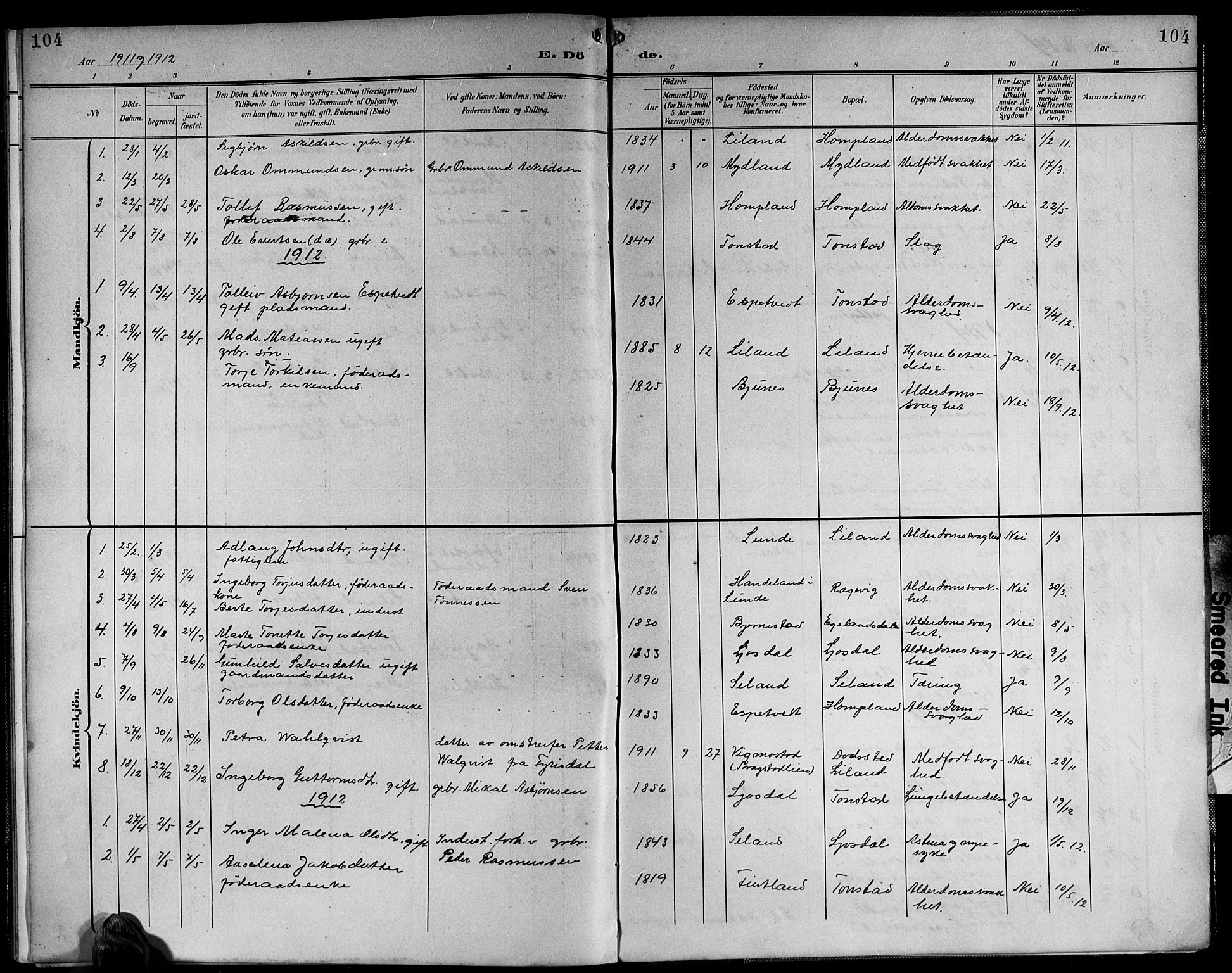 Sirdal sokneprestkontor, AV/SAK-1111-0036/F/Fb/Fbb/L0004: Parish register (copy) no. B 4, 1895-1916, p. 104