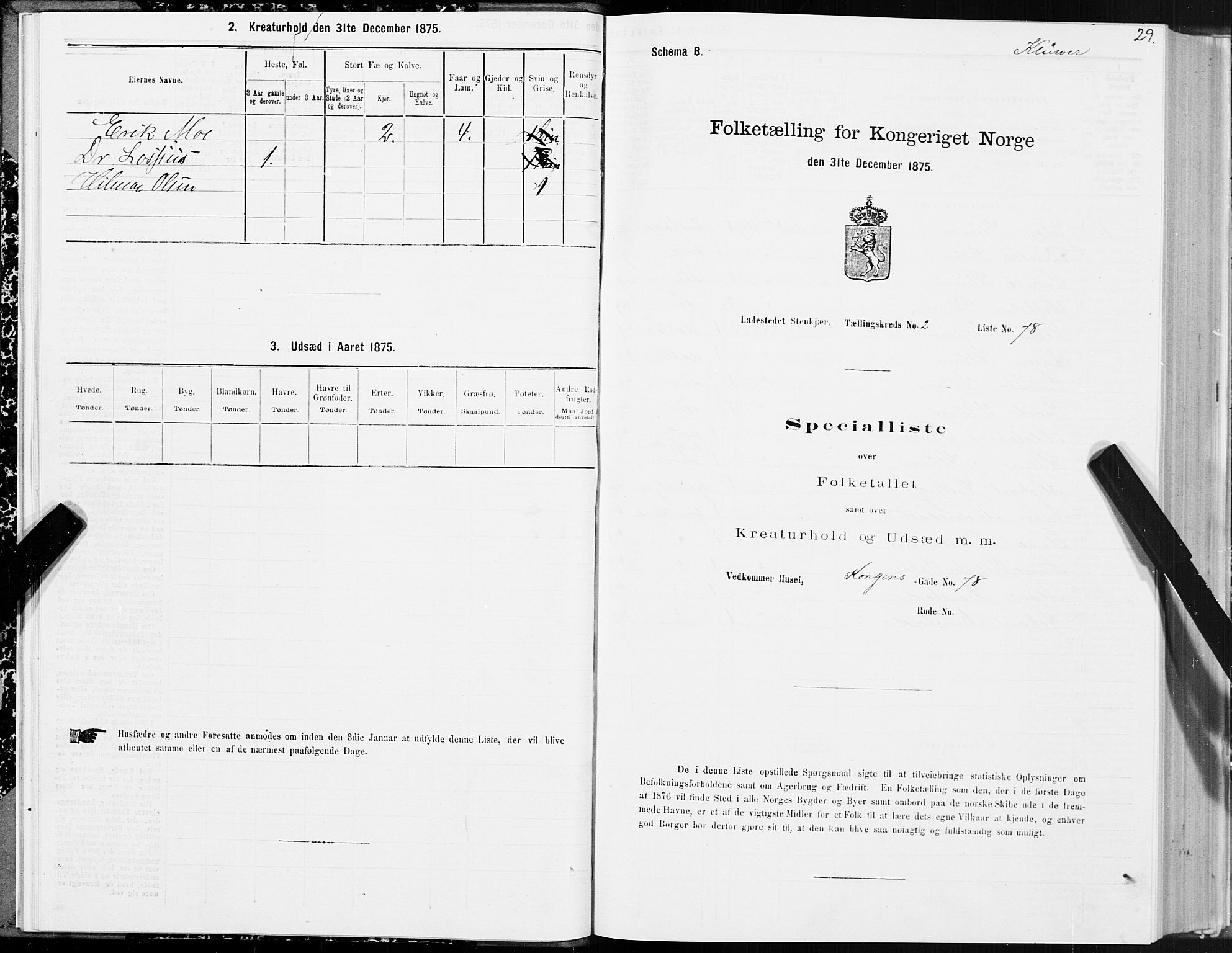 SAT, 1875 census for 1702B Steinkjer/Steinkjer, 1875, p. 29