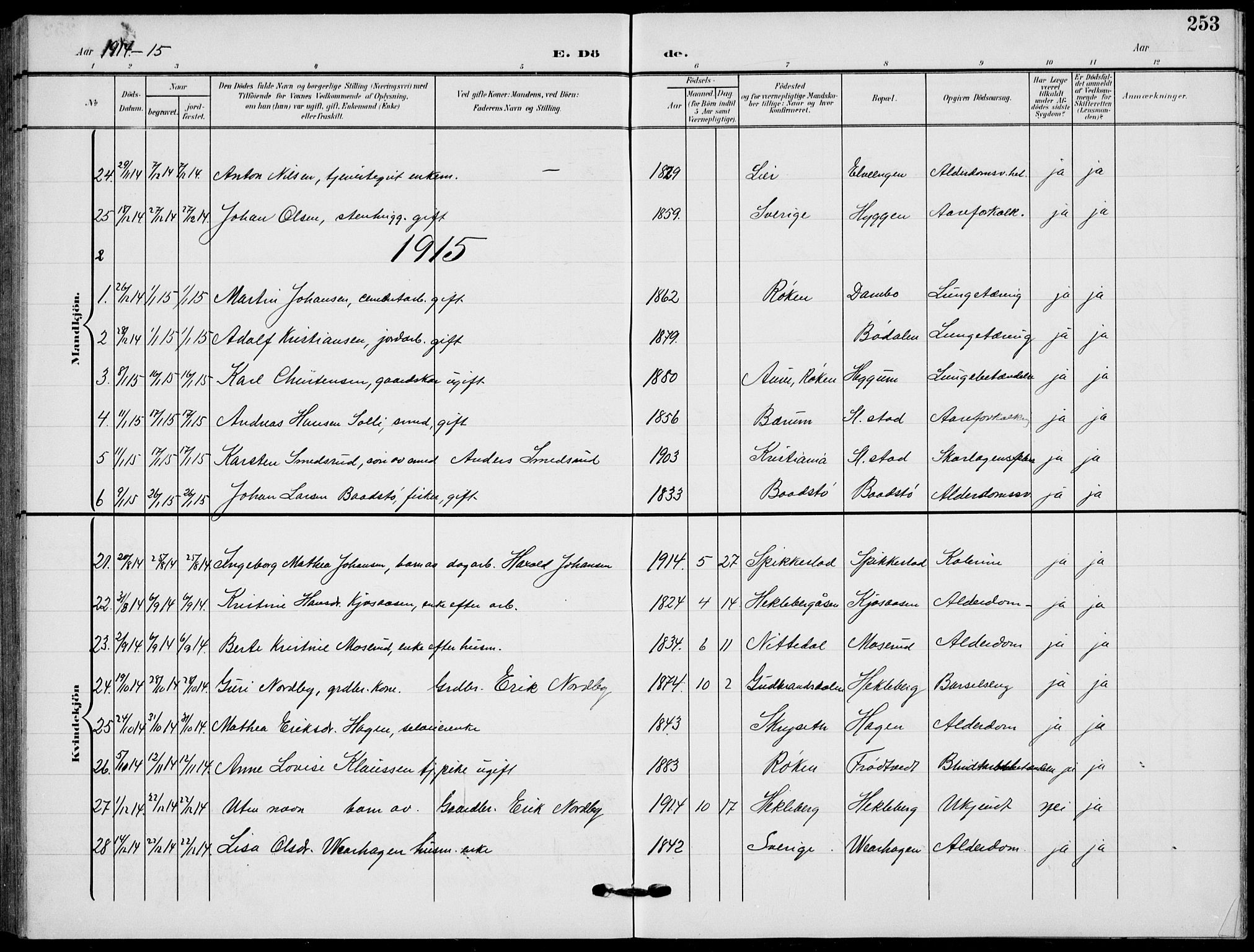 Røyken kirkebøker, AV/SAKO-A-241/G/Ga/L0005: Parish register (copy) no. 5, 1903-1918, p. 253