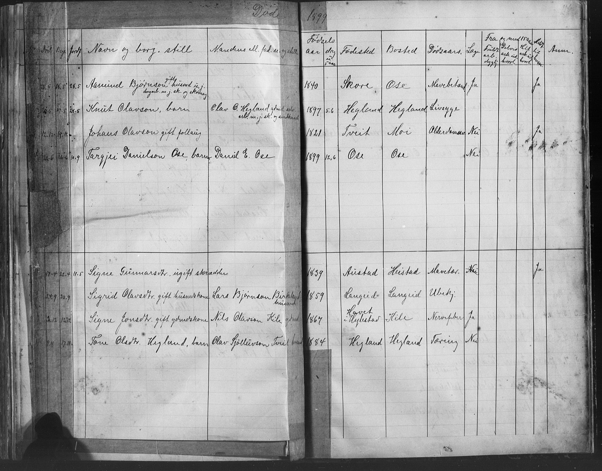 Bygland sokneprestkontor, AV/SAK-1111-0006/F/Fb/Fba/L0002: Parish register (copy) no. B 2, 1886-1919, p. 116