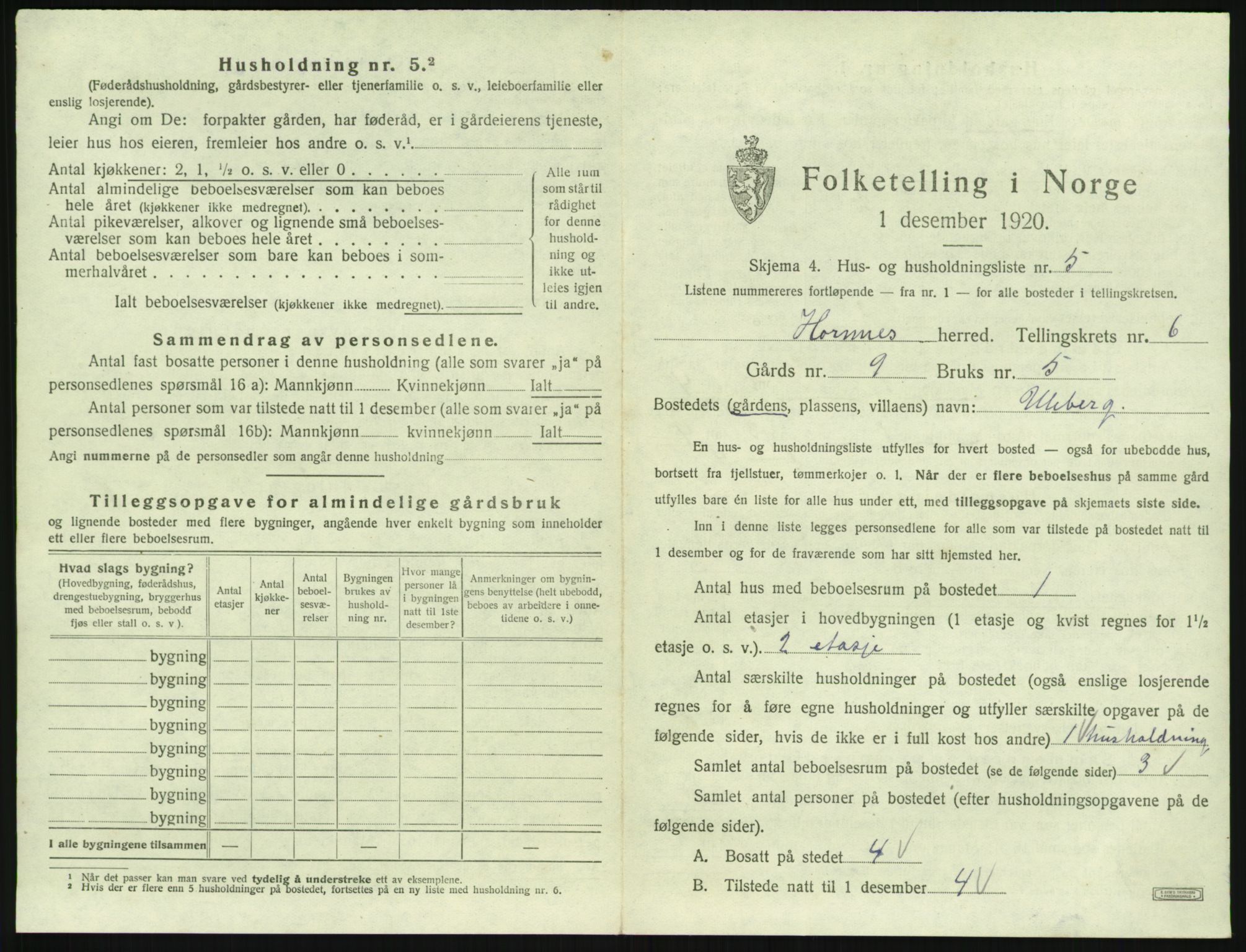 SAK, 1920 census for Hornnes, 1920, p. 253