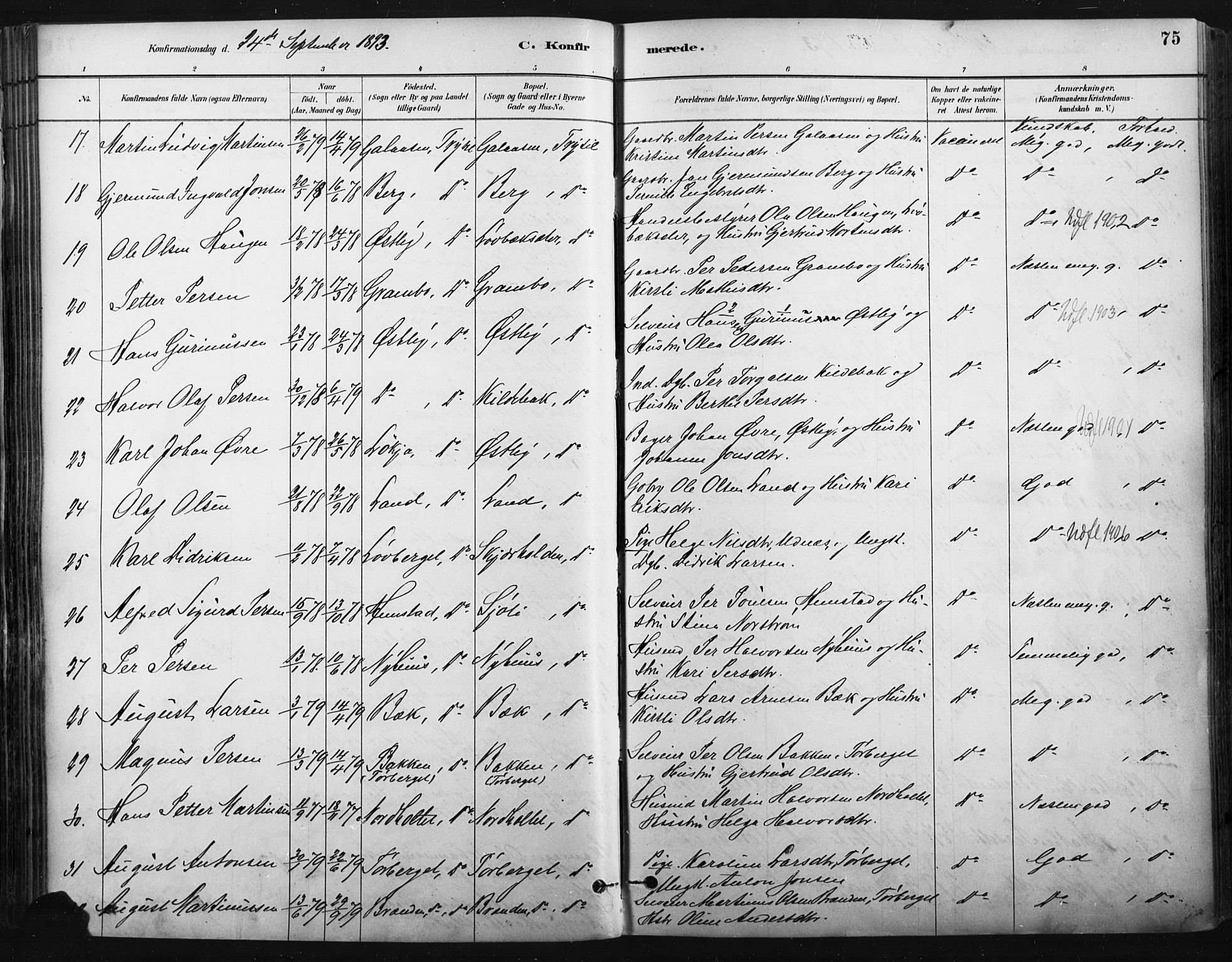 Trysil prestekontor, AV/SAH-PREST-046/H/Ha/Haa/L0009: Parish register (official) no. 9, 1881-1897, p. 75