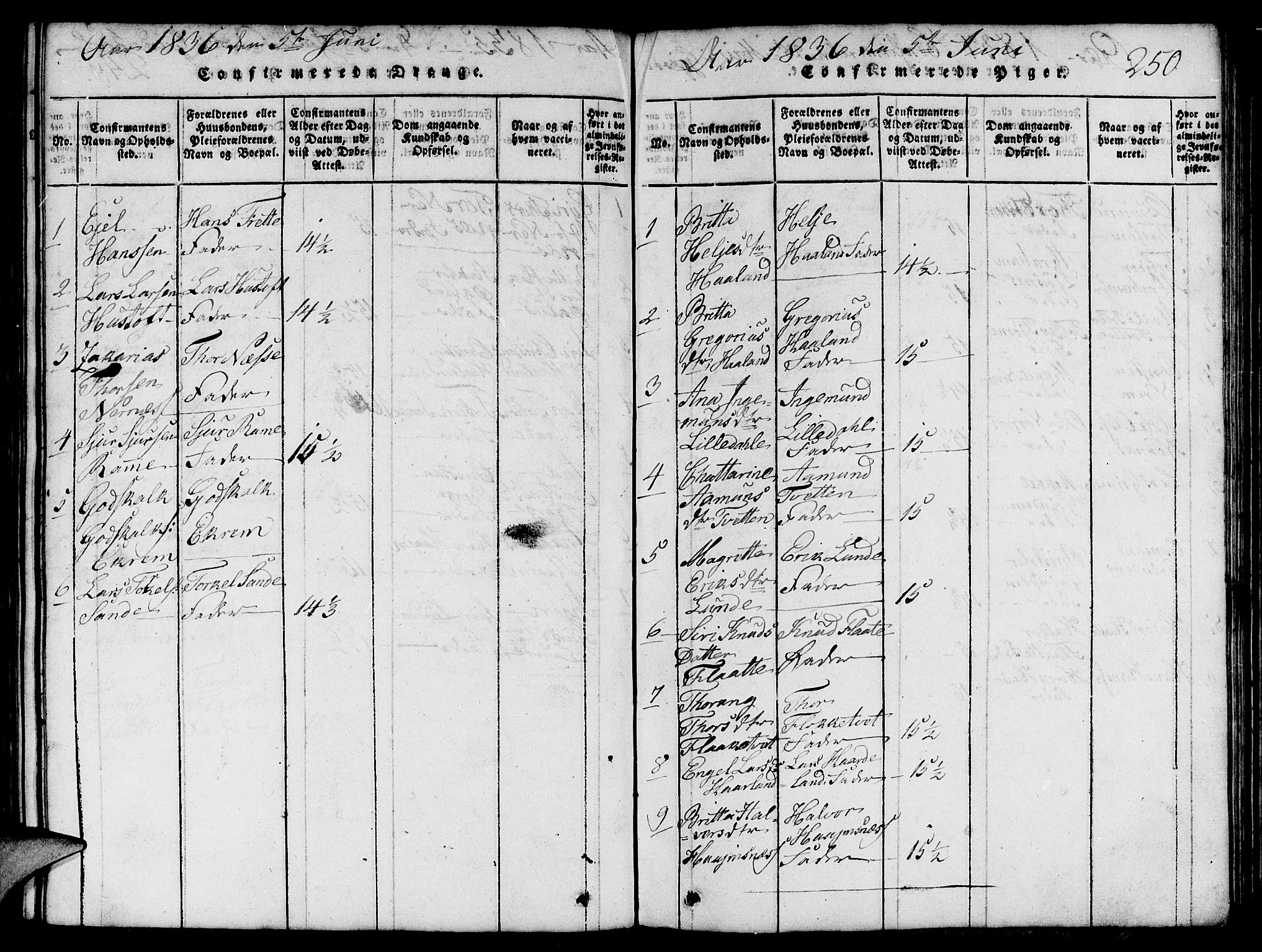 Etne sokneprestembete, SAB/A-75001/H/Hab: Parish register (copy) no. C 1, 1816-1841, p. 250