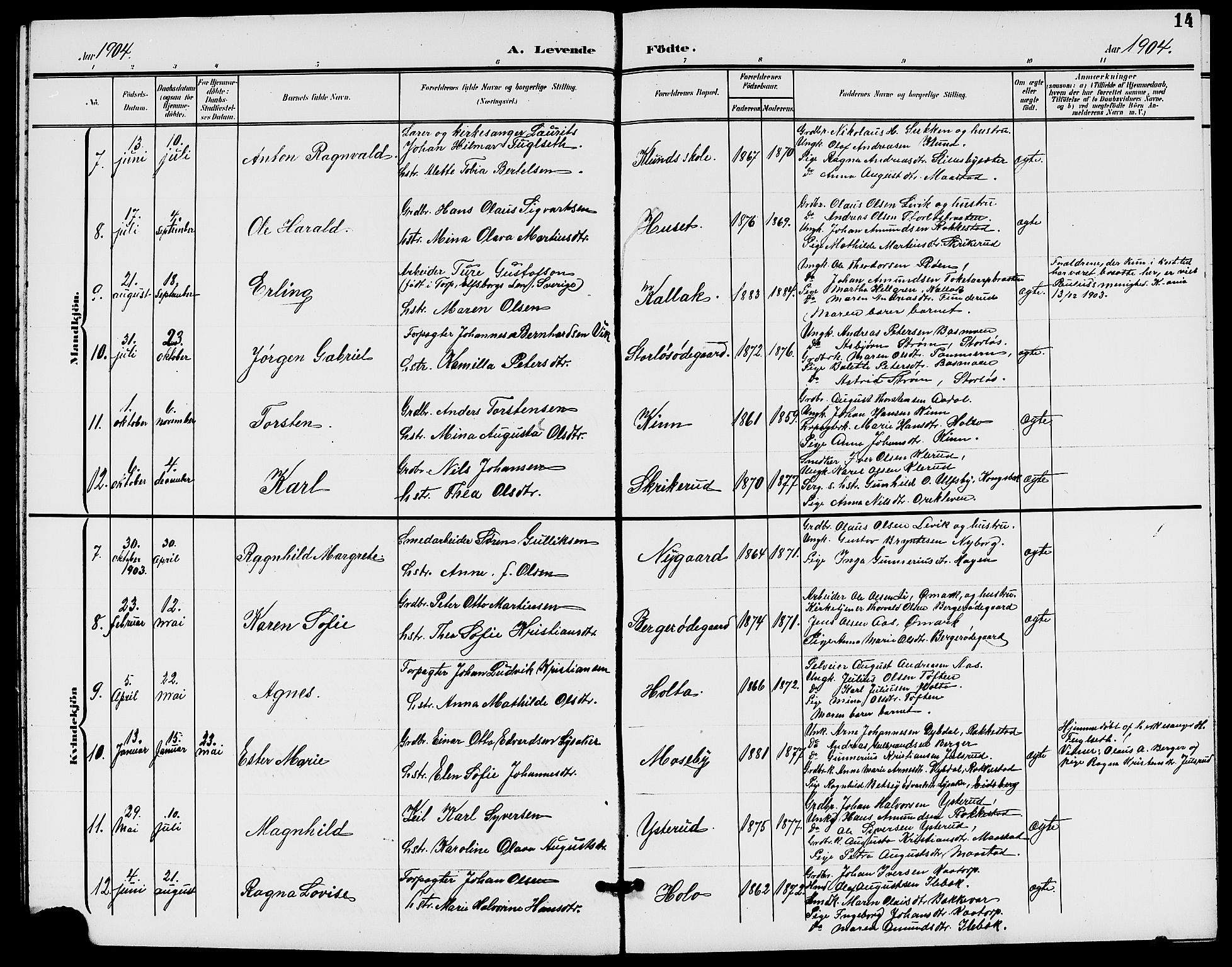 Rødenes prestekontor Kirkebøker, AV/SAO-A-2005/G/Ga/L0002: Parish register (copy) no. I 2, 1901-1910, p. 14