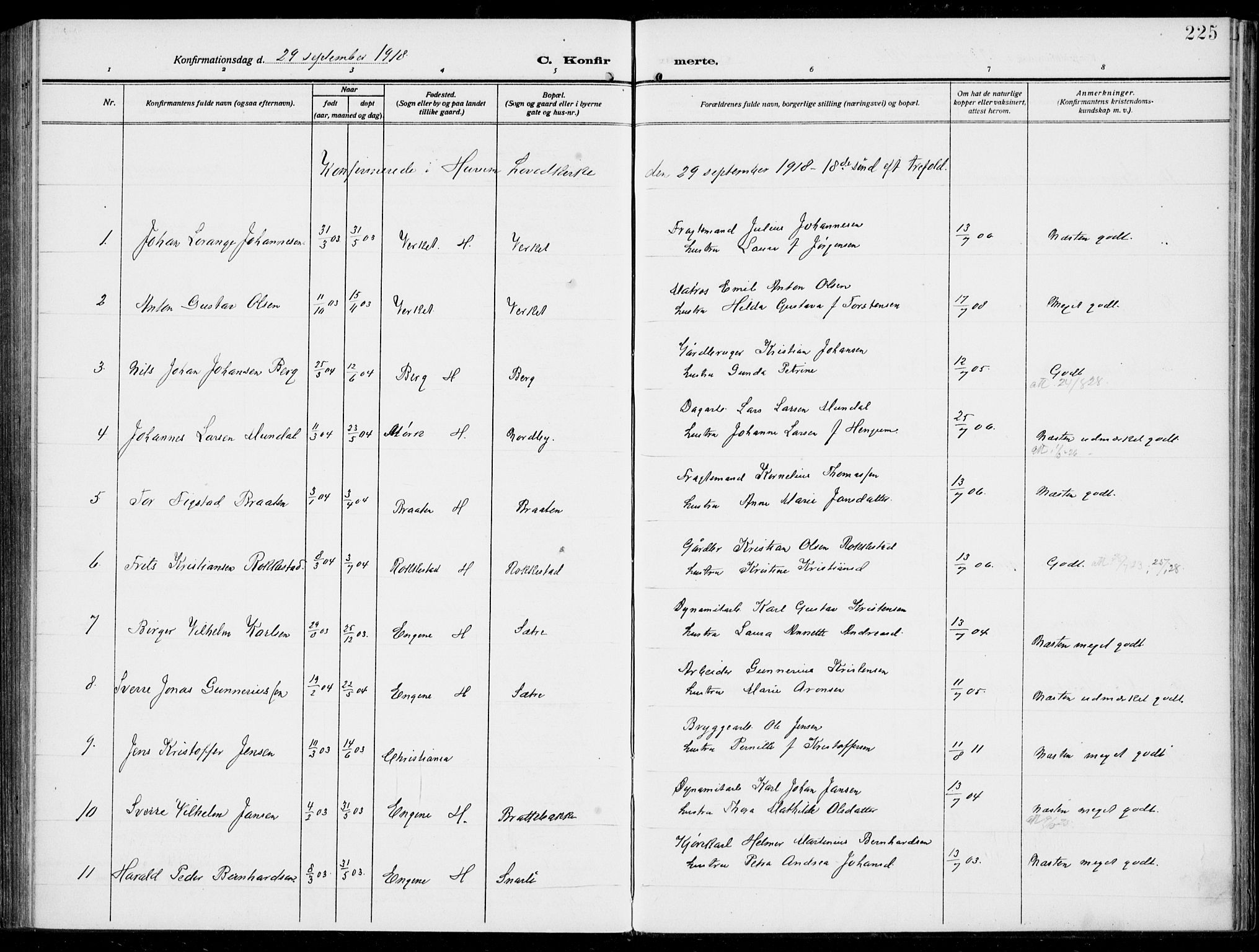Hurum kirkebøker, AV/SAKO-A-229/F/Fa/L0016: Parish register (official) no. 16, 1899-1918, p. 225