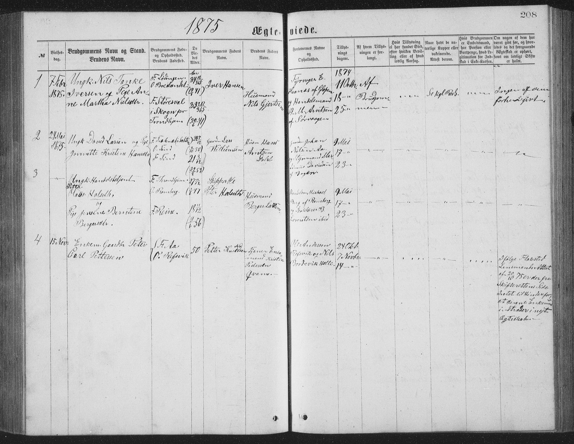 Ministerialprotokoller, klokkerbøker og fødselsregistre - Nordland, AV/SAT-A-1459/886/L1225: Parish register (copy) no. 886C02, 1874-1896, p. 208