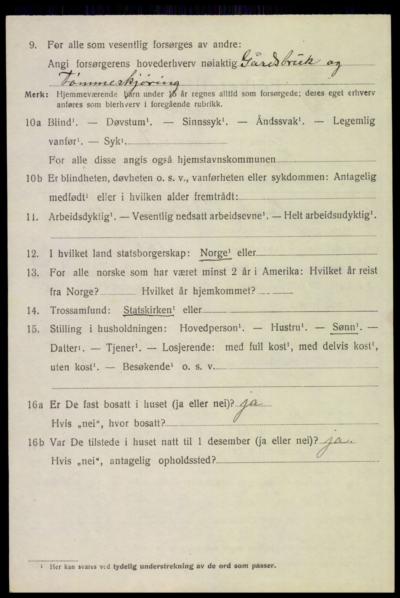 SAH, 1920 census for Trysil, 1920, p. 4336