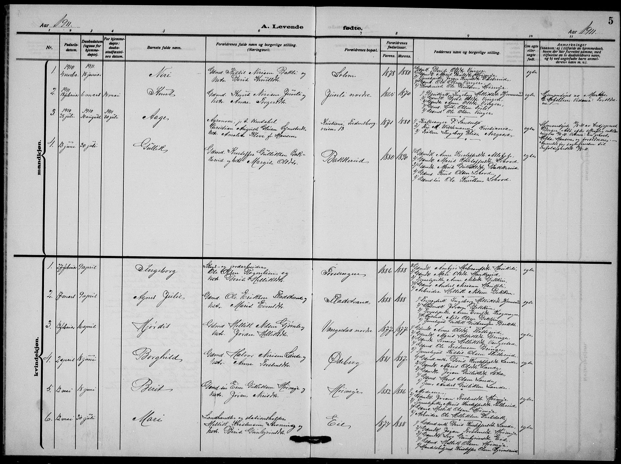 Flesberg kirkebøker, AV/SAKO-A-18/G/Ga/L0006: Parish register (copy) no. I 6, 1909-1924, p. 5