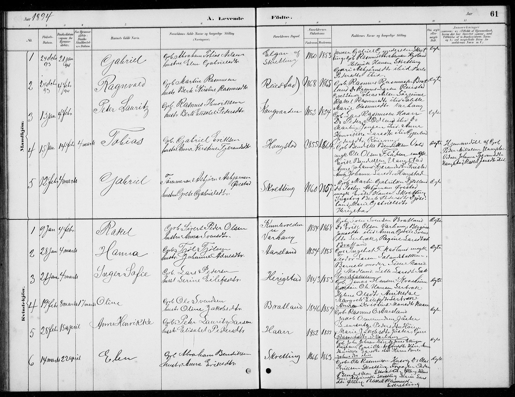 Hå sokneprestkontor, AV/SAST-A-101801/001/30BB/L0004: Parish register (copy) no. B 4, 1883-1899, p. 61
