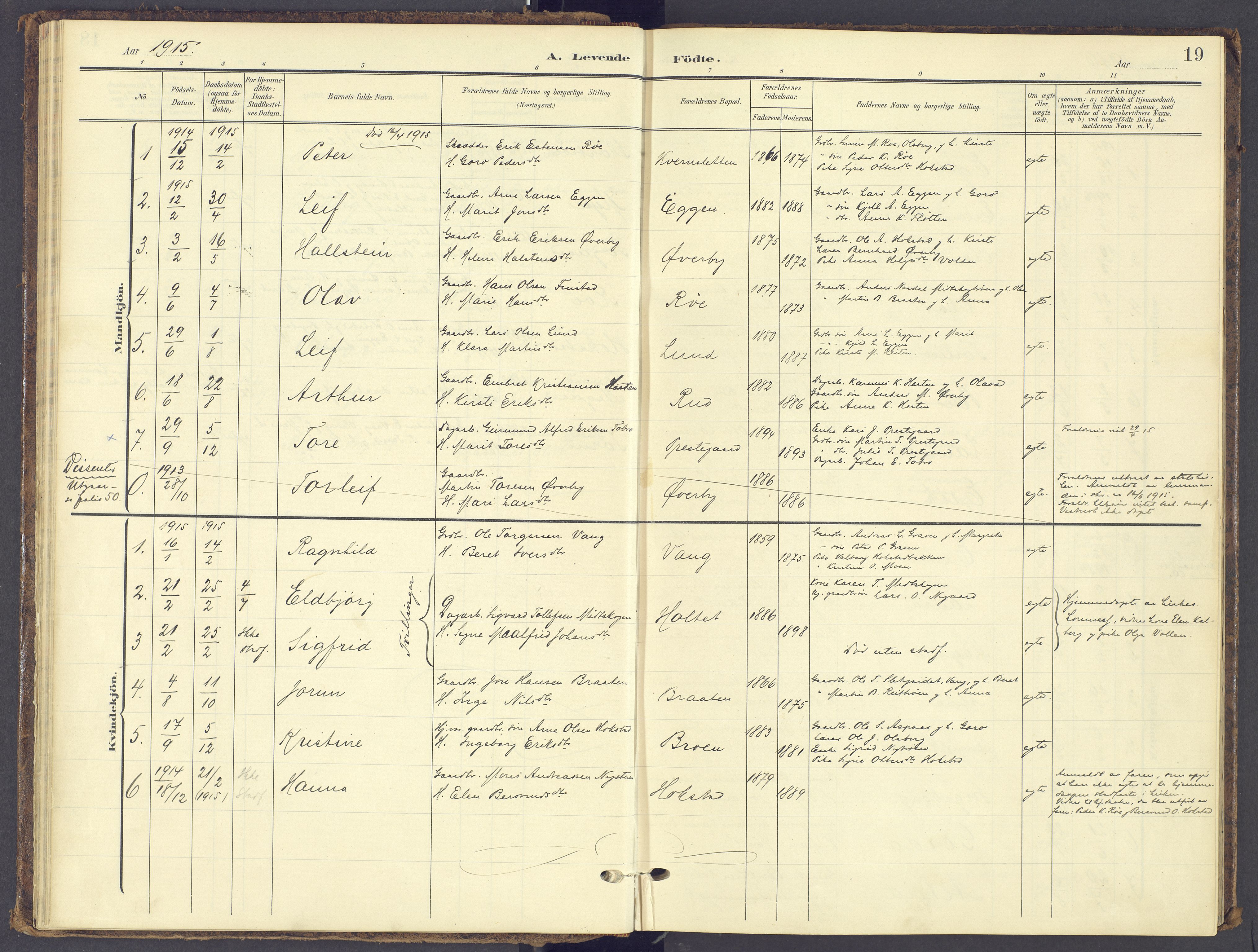 Tynset prestekontor, SAH/PREST-058/H/Ha/Haa/L0028: Parish register (official) no. 28, 1902-1929, p. 19