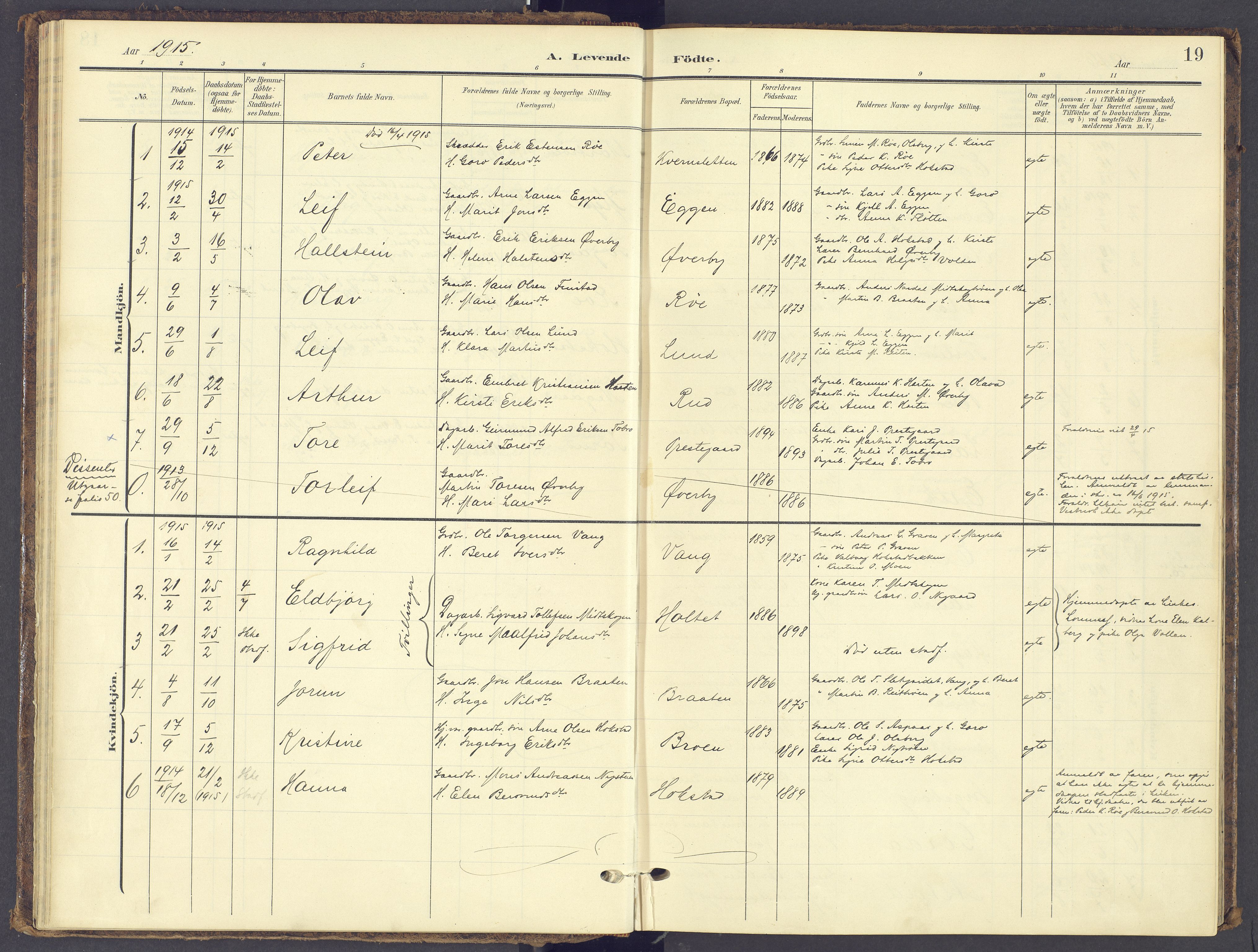 Tynset prestekontor, AV/SAH-PREST-058/H/Ha/Haa/L0028: Parish register (official) no. 28, 1902-1929, p. 19