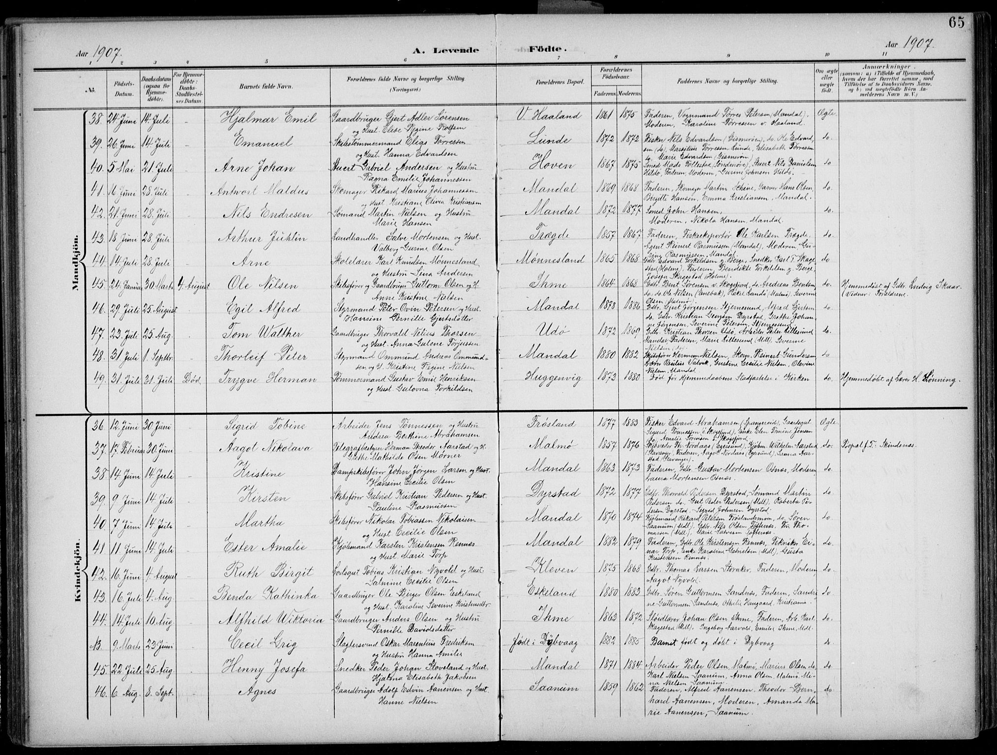 Mandal sokneprestkontor, AV/SAK-1111-0030/F/Fb/Fba/L0012: Parish register (copy) no. B 6, 1899-1918, p. 65