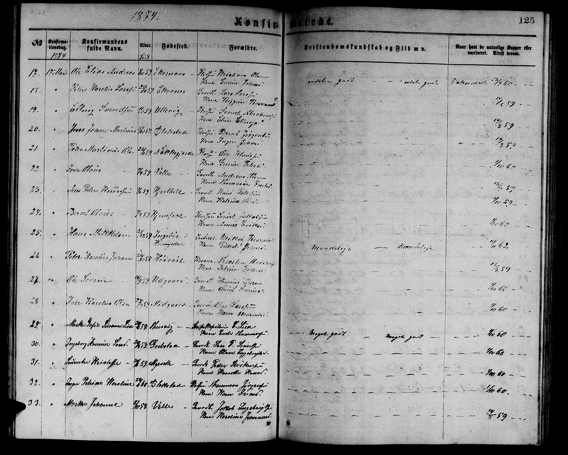 Ministerialprotokoller, klokkerbøker og fødselsregistre - Møre og Romsdal, AV/SAT-A-1454/523/L0338: Parish register (copy) no. 523C01, 1865-1877, p. 125