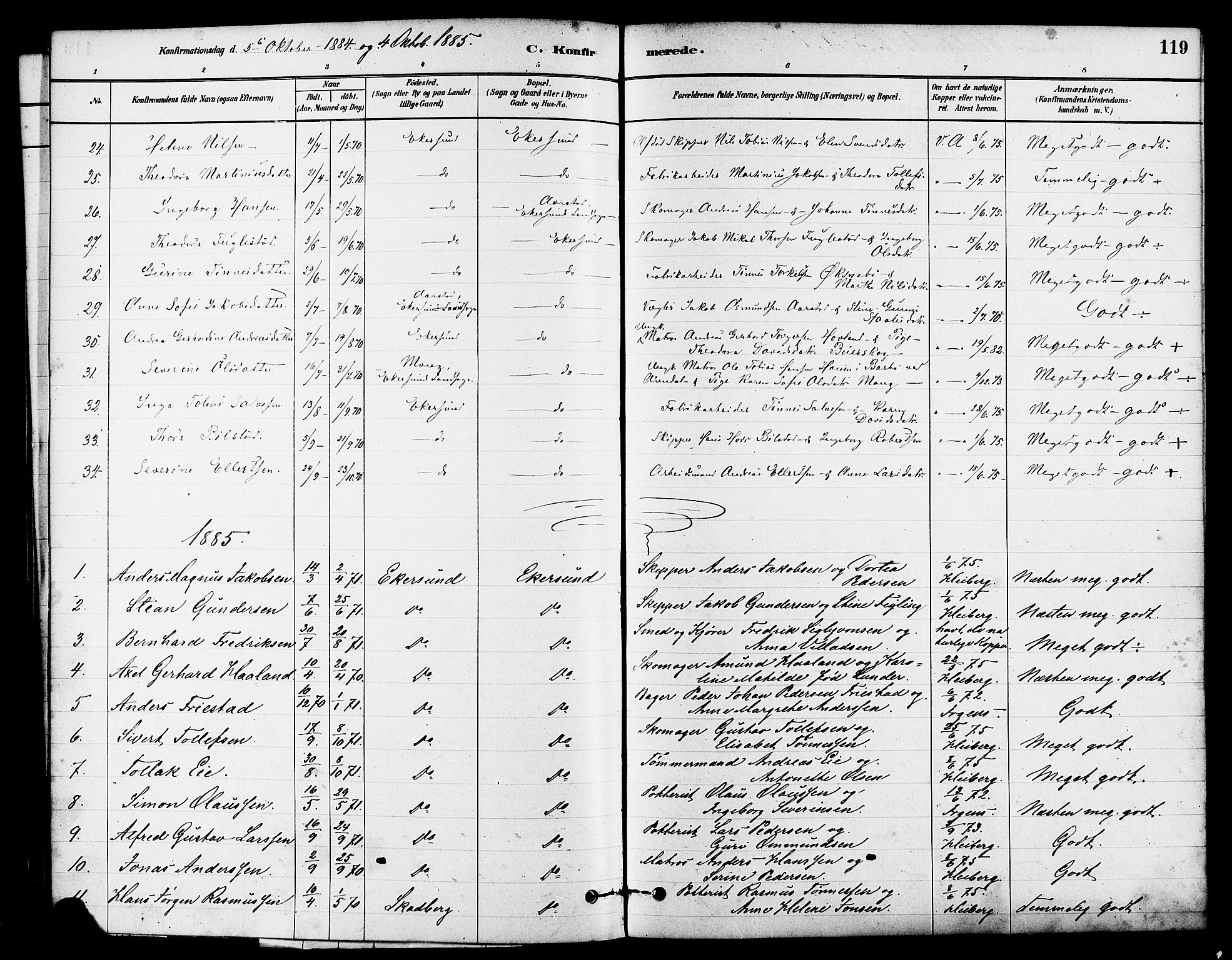 Eigersund sokneprestkontor, SAST/A-101807/S08/L0015: Parish register (official) no. A 15, 1879-1892, p. 119