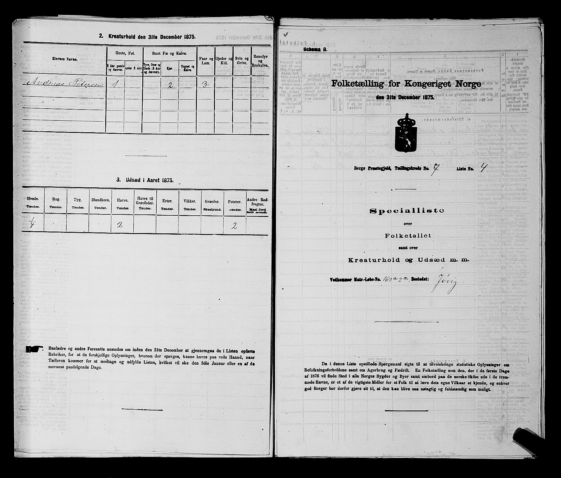 RA, 1875 census for 0116P Berg, 1875, p. 1107