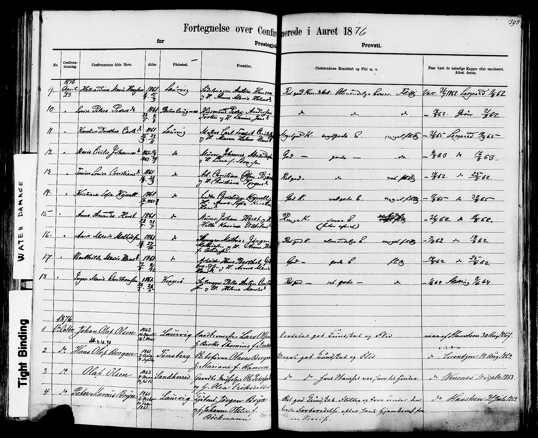 Larvik kirkebøker, AV/SAKO-A-352/F/Fa/L0006: Parish register (official) no. I 6, 1871-1883, p. 393