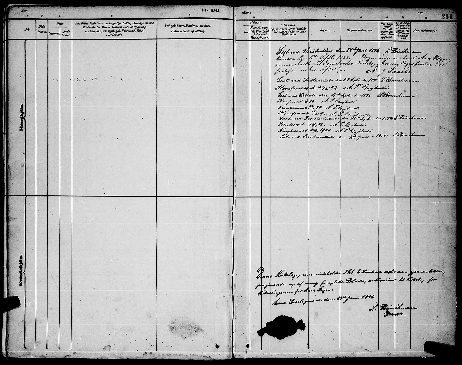 Ministerialprotokoller, klokkerbøker og fødselsregistre - Møre og Romsdal, SAT/A-1454/578/L0909: Parish register (copy) no. 578C02, 1882-1900, p. 251
