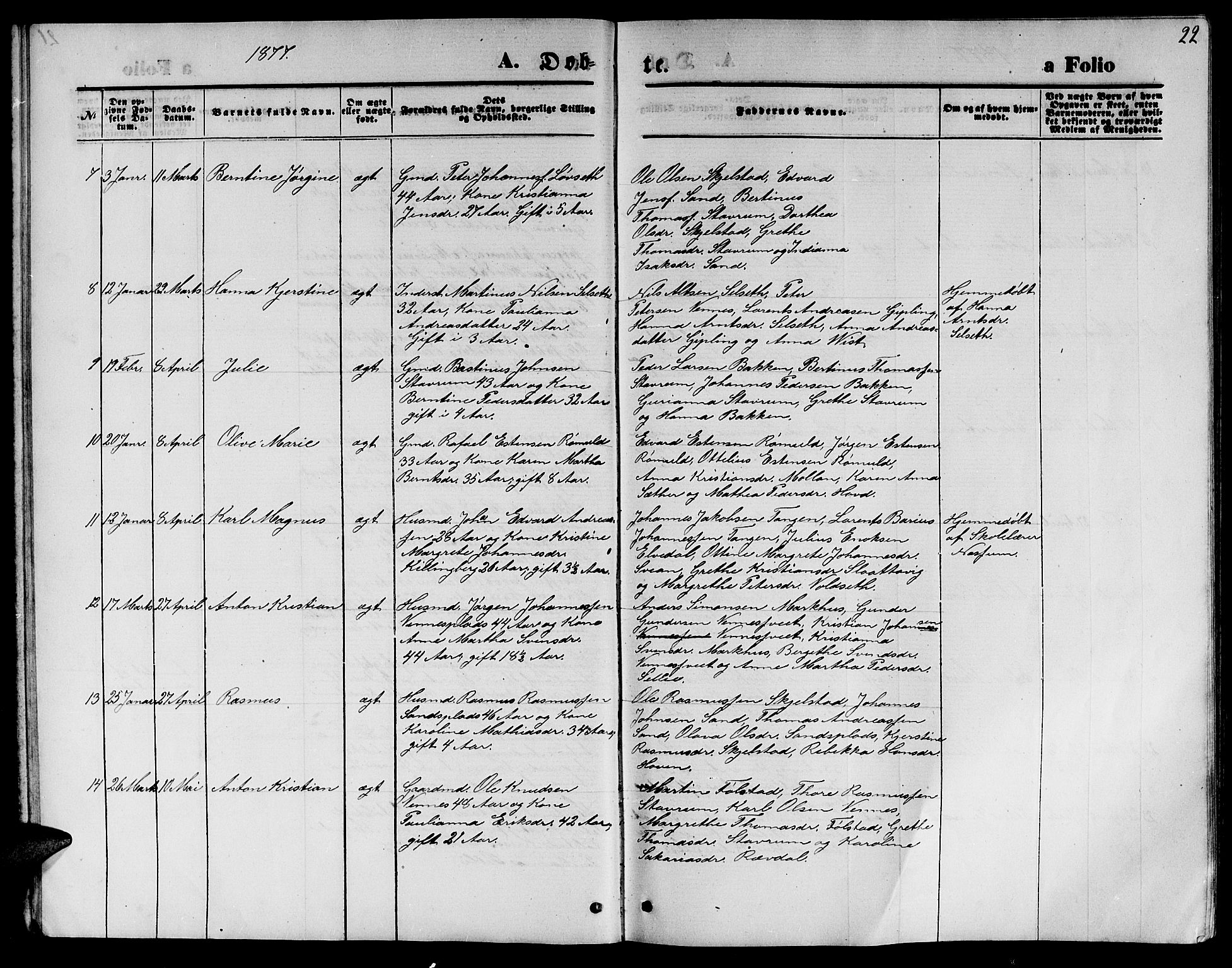 Ministerialprotokoller, klokkerbøker og fødselsregistre - Nord-Trøndelag, AV/SAT-A-1458/744/L0422: Parish register (copy) no. 744C01, 1871-1885, p. 22