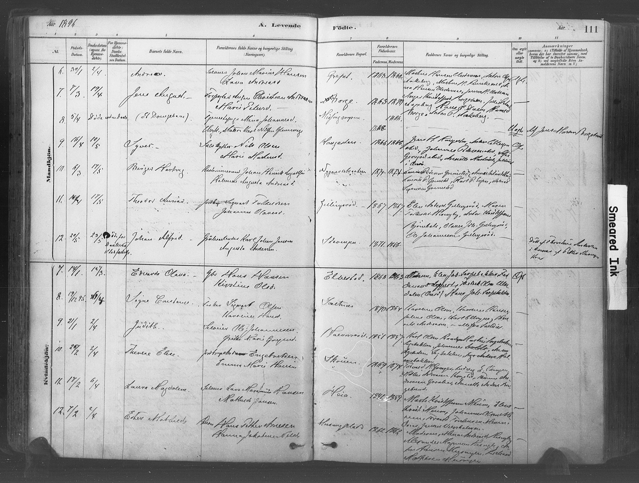 Råde prestekontor kirkebøker, AV/SAO-A-2009/F/Fa/L0007: Parish register (official) no. 7, 1878-1902, p. 111